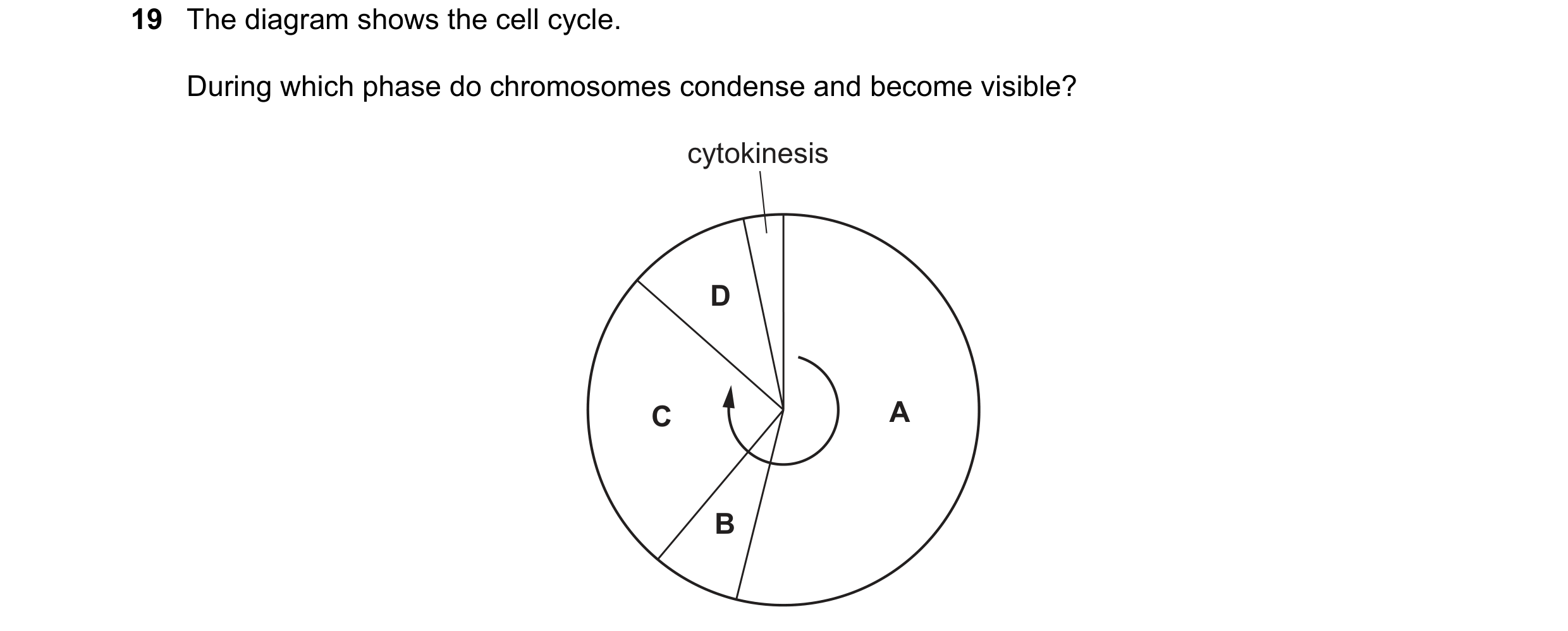 Question 120: The diagram shows the cell cycle. During which phase do chromosomes condense and become visible? cytokinesis D C A B