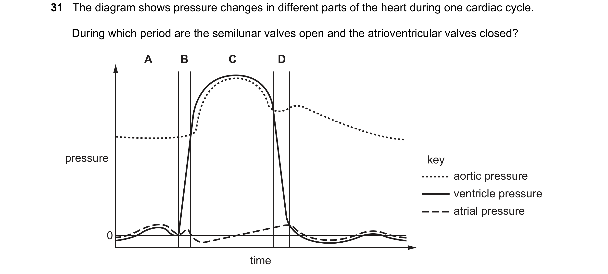 Question 94: The diagram shows pressure changes in different parts of the heart during one cardiac cycle. During which period are the semilunar valves o…
