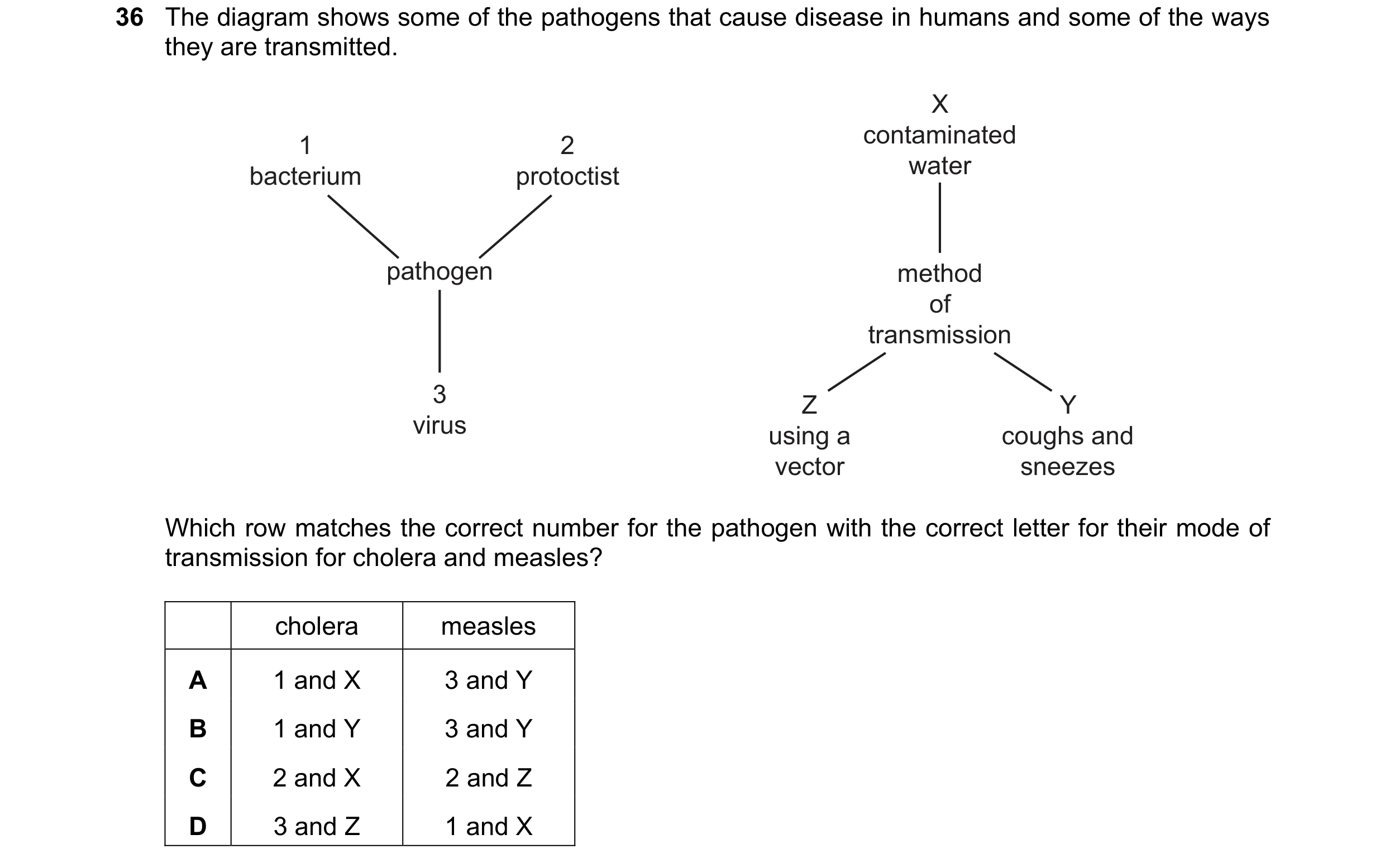 Question 116: The diagram shows some of the pathogens that cause disease in humans and some of the ways they are transmitted. X 1 2 contaminated bacteriu…