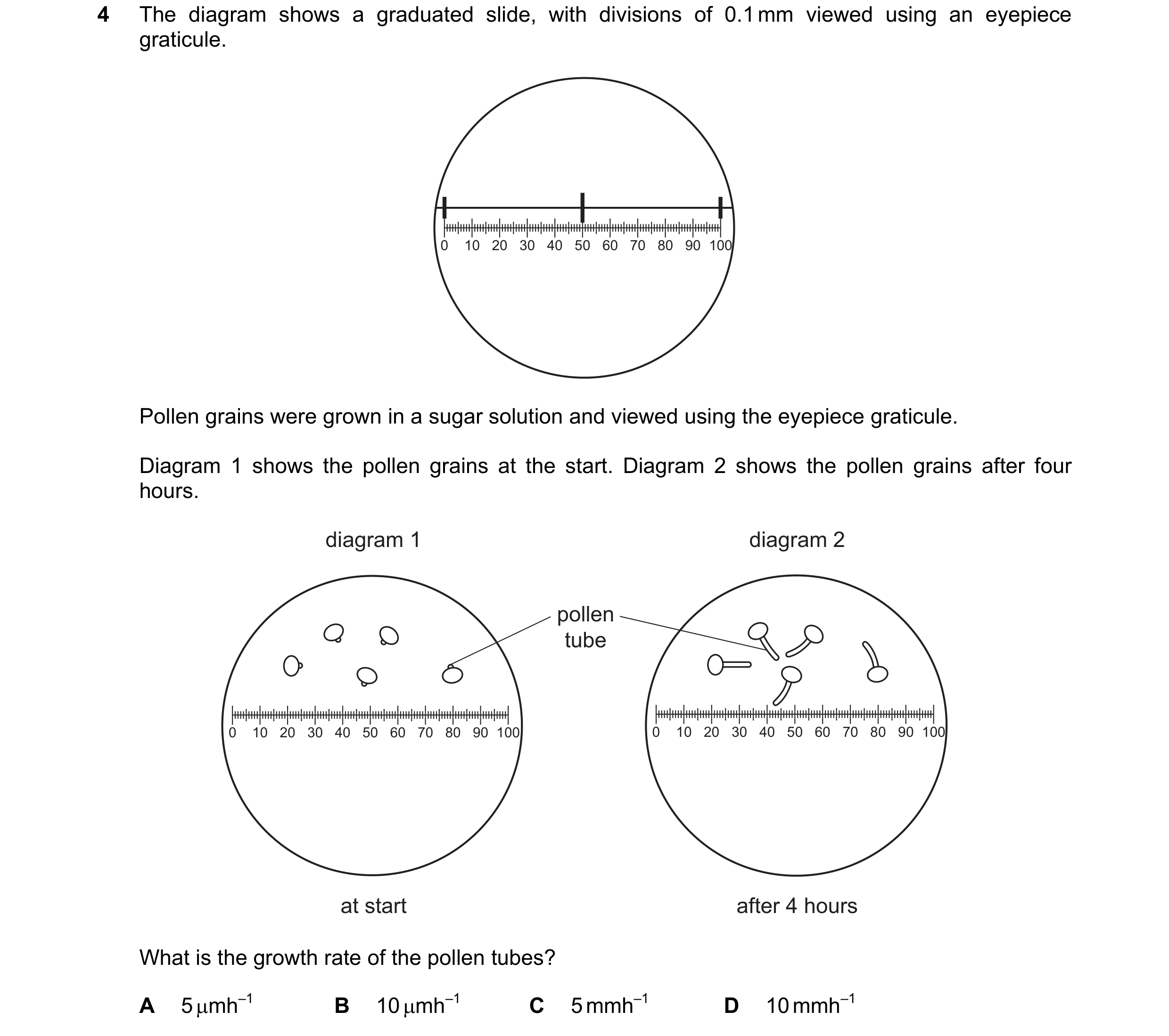 Question 135: The diagram shows a graduated slide, with divisions of 0.1 mm viewed using an eyepiece graticule. 0 10 20 30 40 50 60 70 80 90 100 Pollen g…