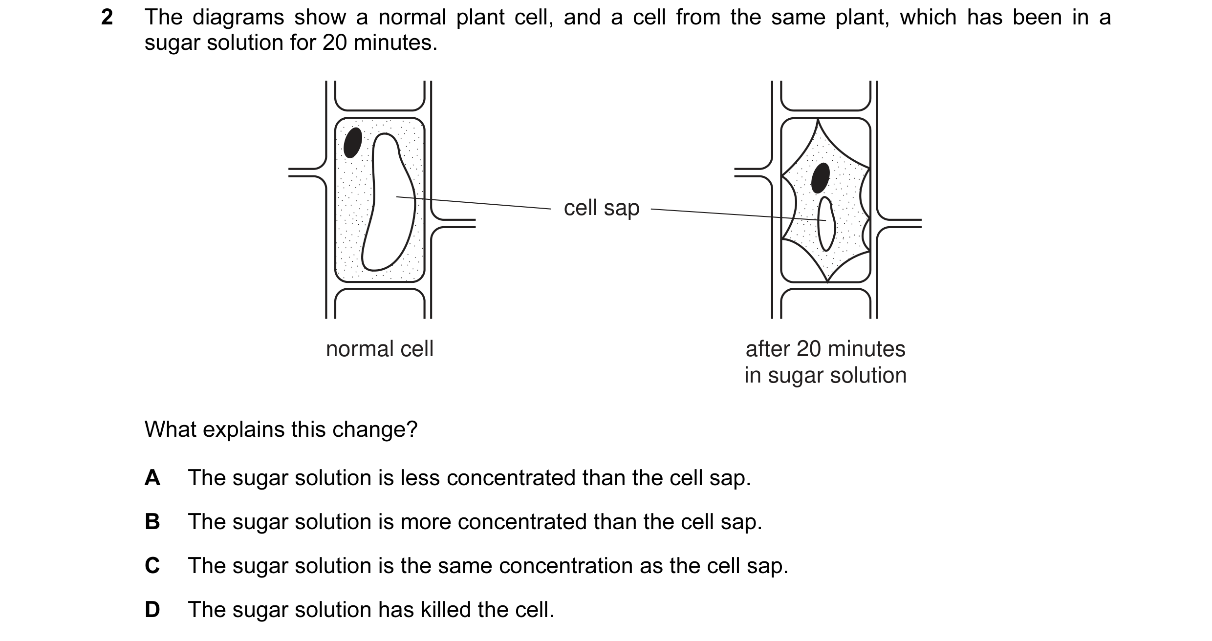 Question 1: The diagrams show a normal plant cell, and a cell from the same plant, which has been in a sugar solution for 20 minutes. cell sap normal c…