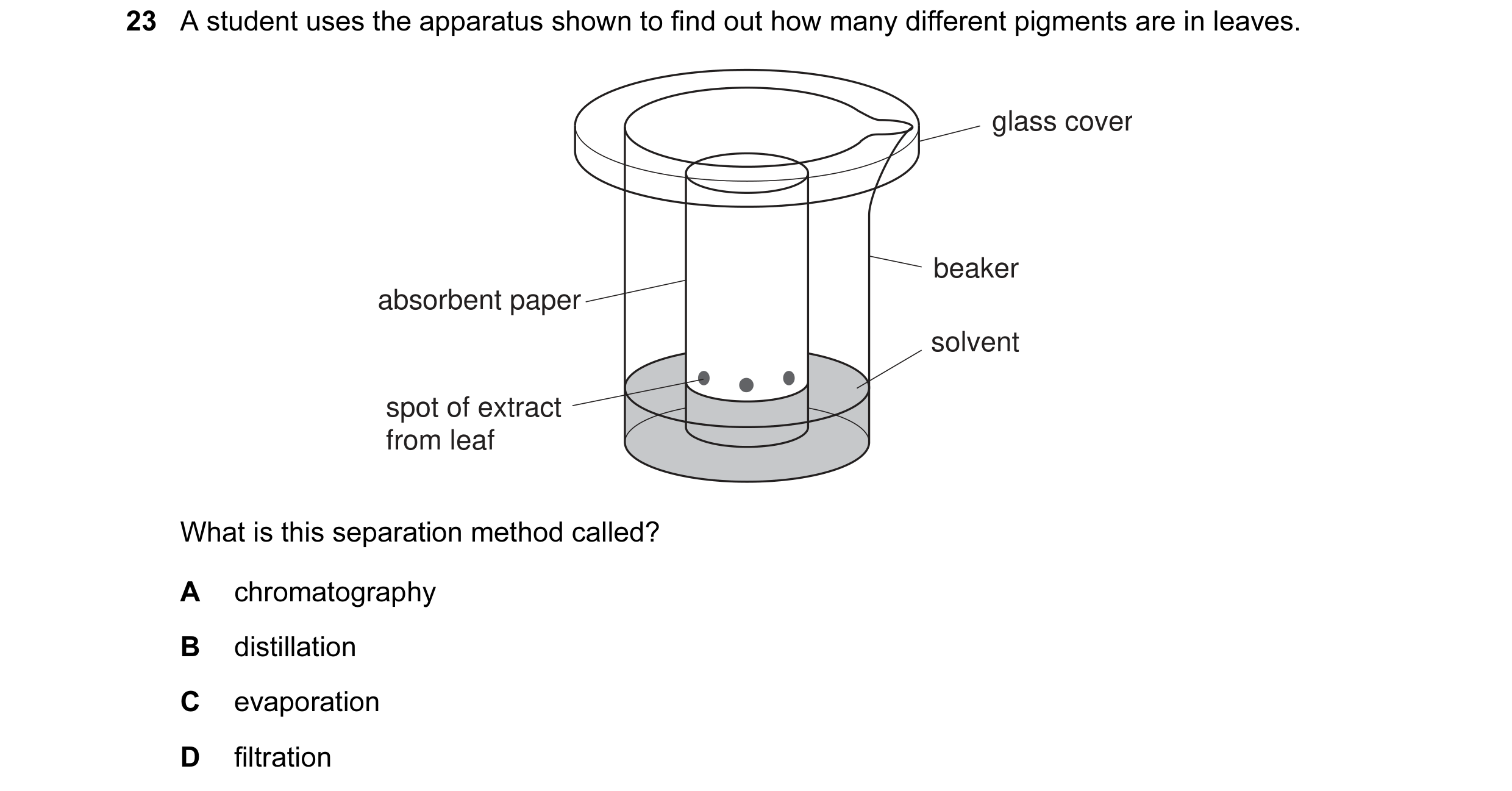 Question 1: A student uses the apparatus shown to find out how many different pigments are in leaves. glass cover beaker absorbent paper solvent spot o…