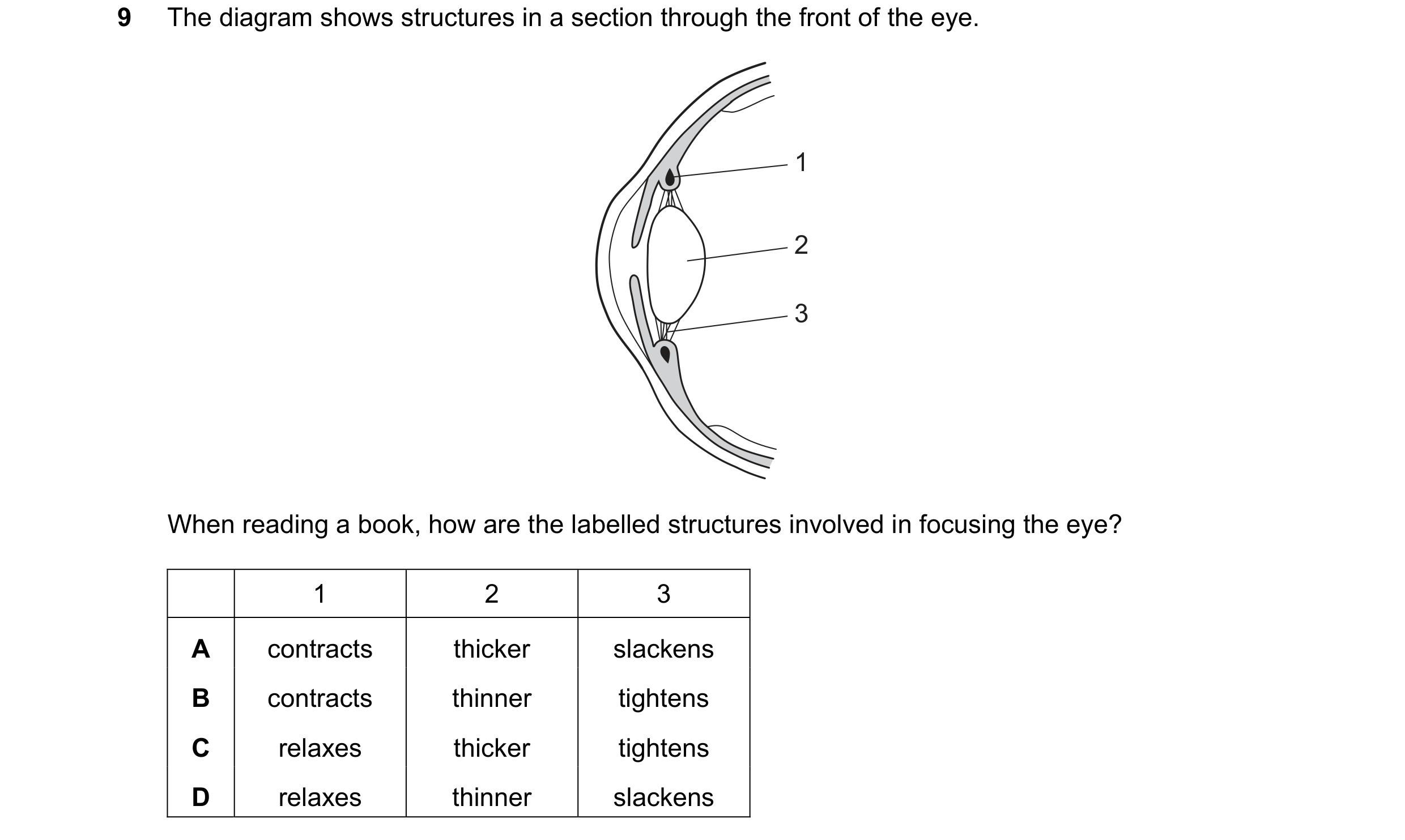 Question 17: The diagram shows structures in a section through the front of the eye. 1 2 3 When reading a book, how are the labelled structures involved…