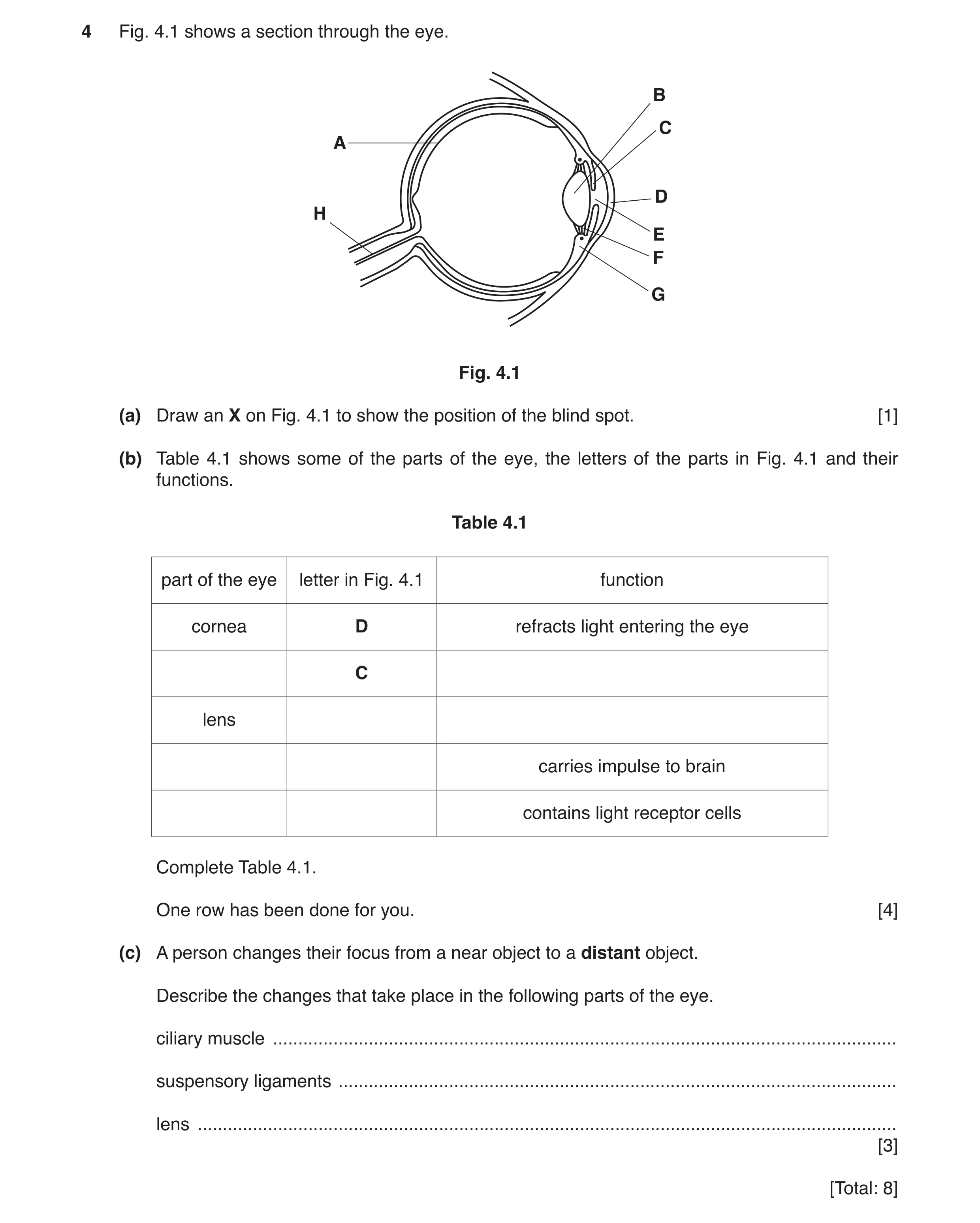 Question 5: Fig. 4.1 shows a section through the eye. B C A D H E F G Fig. 4.1 (a) Draw an X on Fig. 4.1 to show the position of the blind spot. [1] (b…