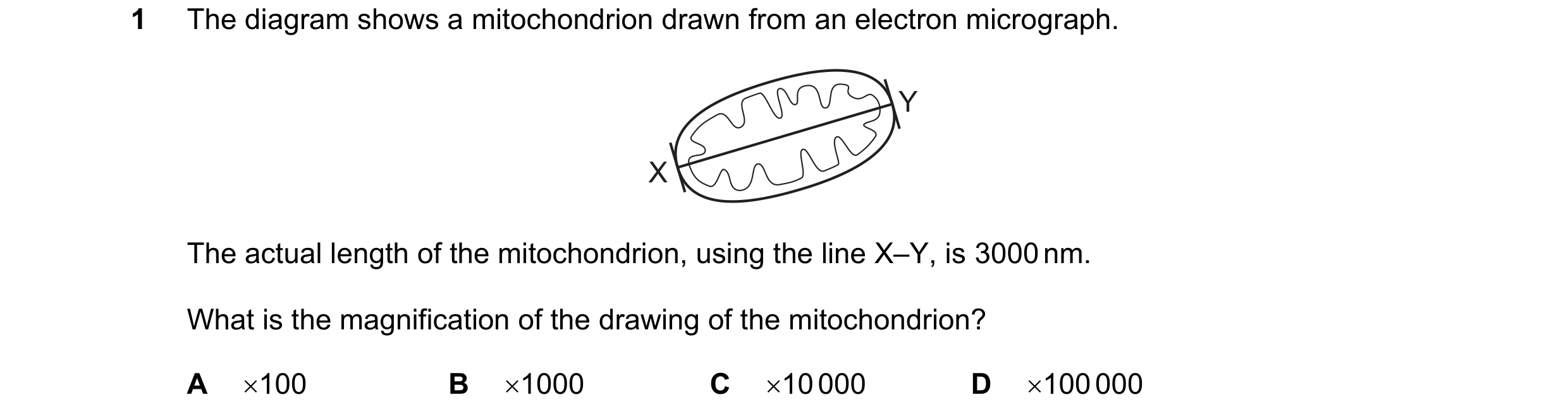 Question 144: The diagram shows a mitochondrion drawn from an electron micrograph. Y X The actual length of the mitochondrion, using the line X–Y, is 300…