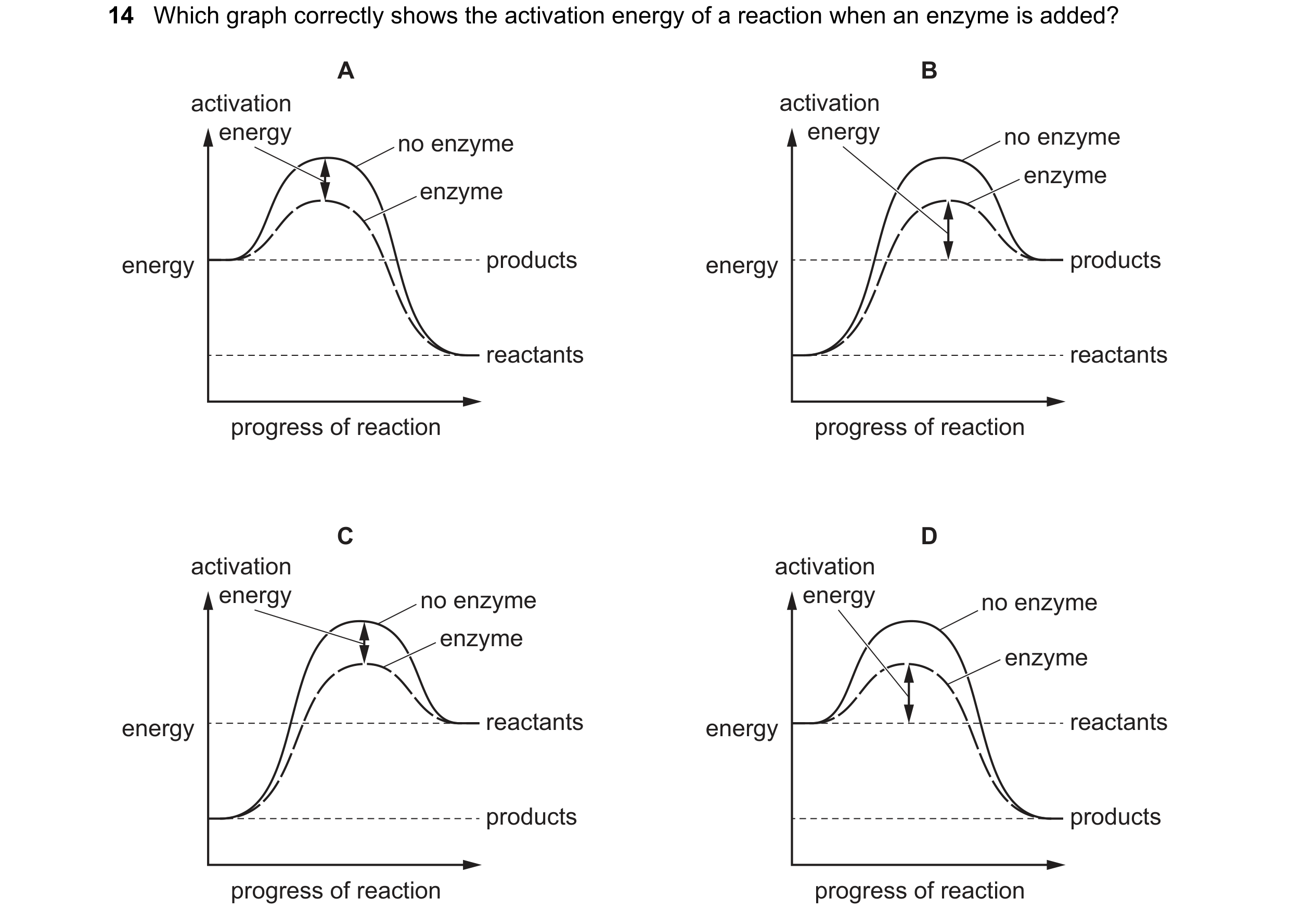 Question 62: Which graph correctly shows the activation energy of a reaction when an enzyme is added? A B activation activation energy energy no enzyme …
