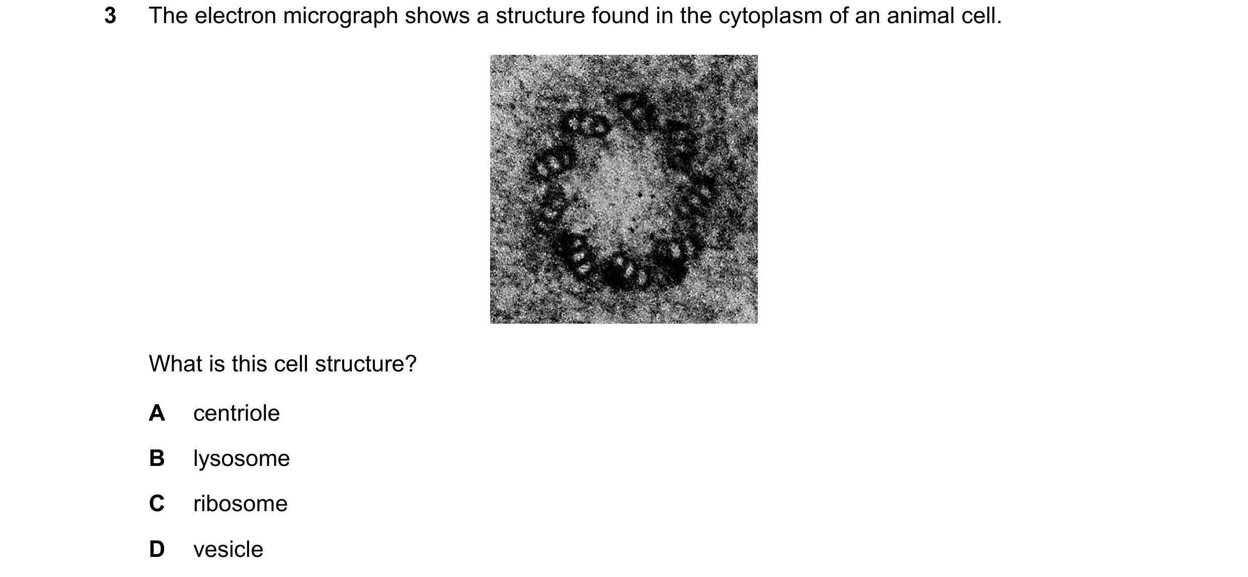 Question 262: The electron micrograph shows a structure found in the cytoplasm of an animal cell. What is this cell structure? A centriole B lysosome C r…