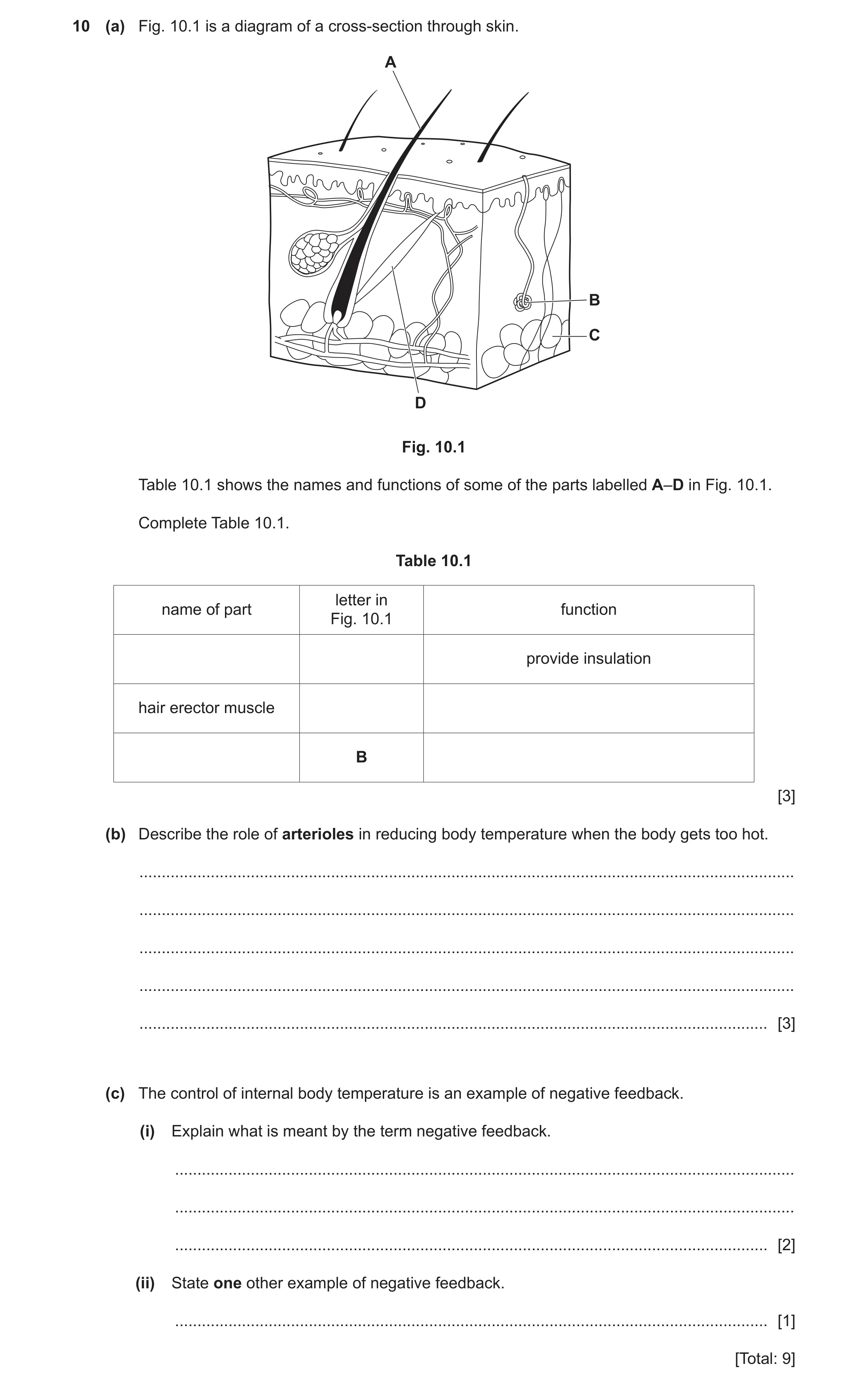Question 11: (a) Fig. 10.1 is a diagram of a cross-section through skin. A B C D Fig. 10.1 Table 10.1 shows the names and functions of some of the parts…