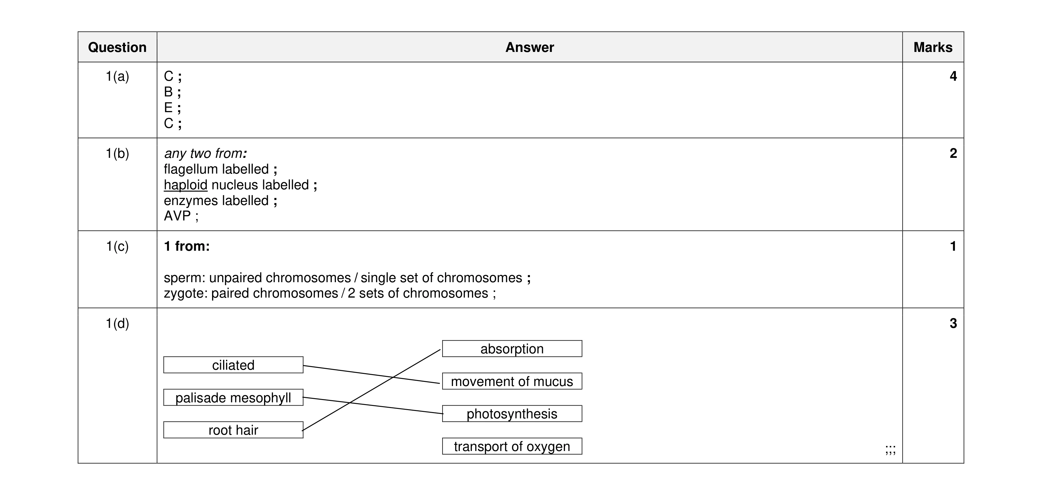Mark scheme for question 6