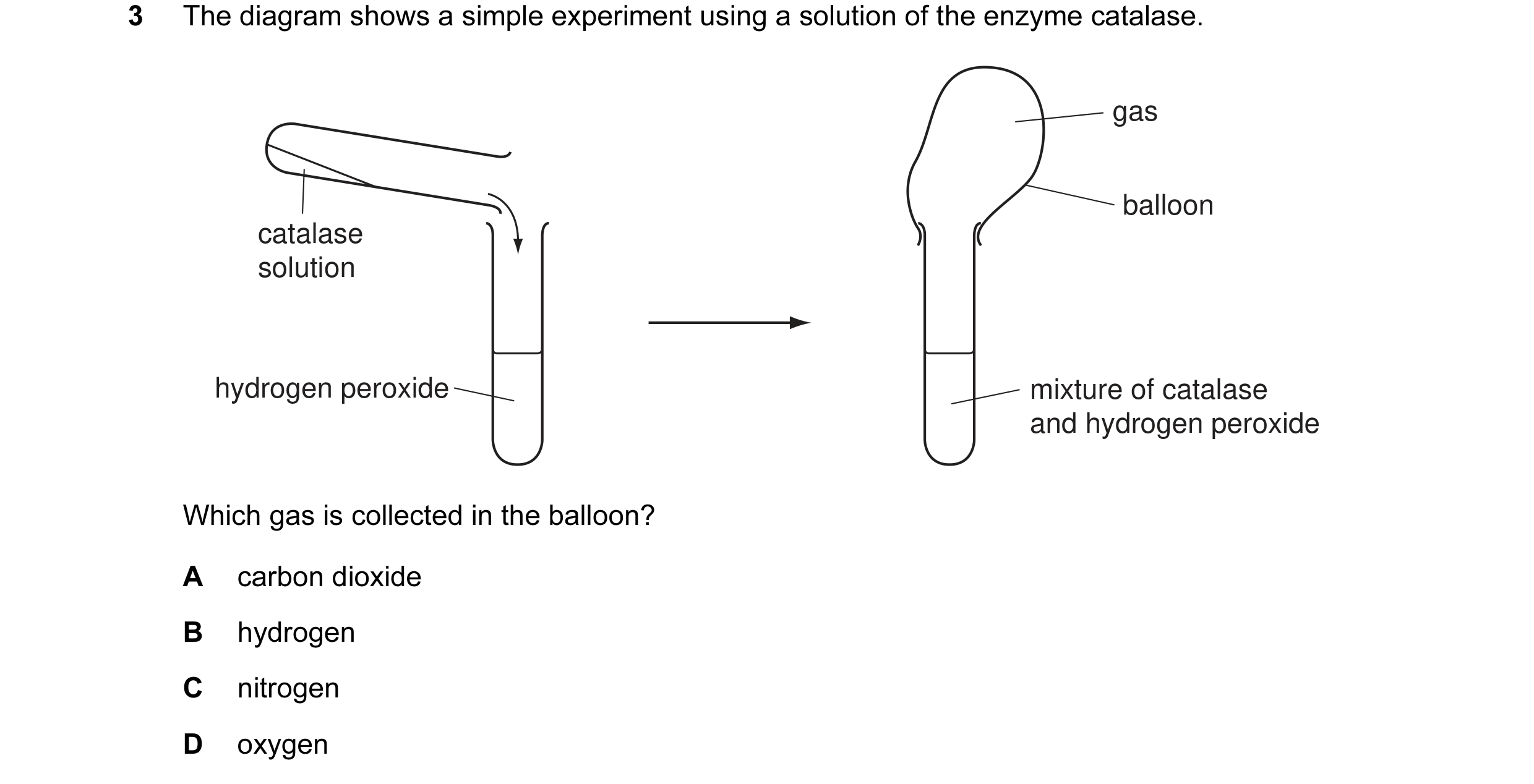 Question 9: The diagram shows a simple experiment using a solution of the enzyme catalase. gas balloon catalase solution hydrogen peroxide mixture of c…