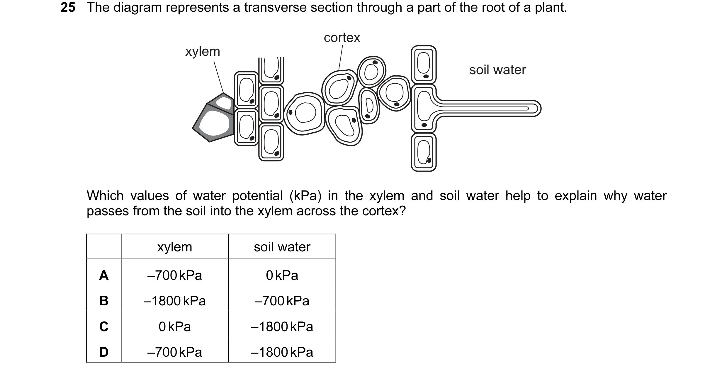 Question 9: The diagram represents a transverse section through a part of the root of a plant. cortex xylem soil water Which values of water potential …