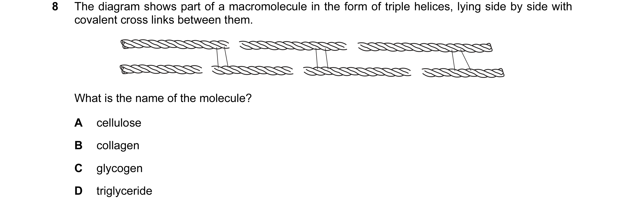 Question 10: The diagram shows part of a macromolecule in the form of triple helices, lying side by side with covalent cross links between them. What is…