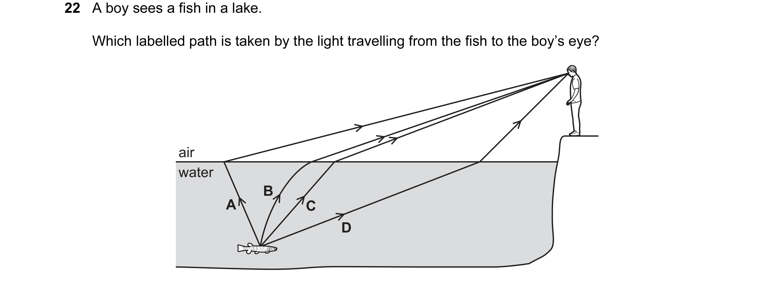 Question 105: A boy sees a fish in a lake. Which labelled path is taken by the light travelling from the fish to the boy’s eye? air water B A C D