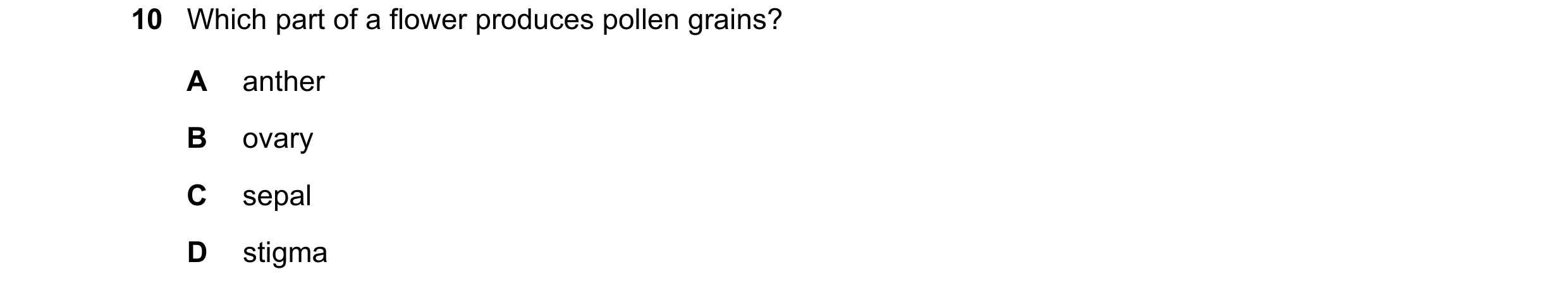 Question 33: Which part of a flower produces pollen grains? A anther B ovary C sepal D stigma