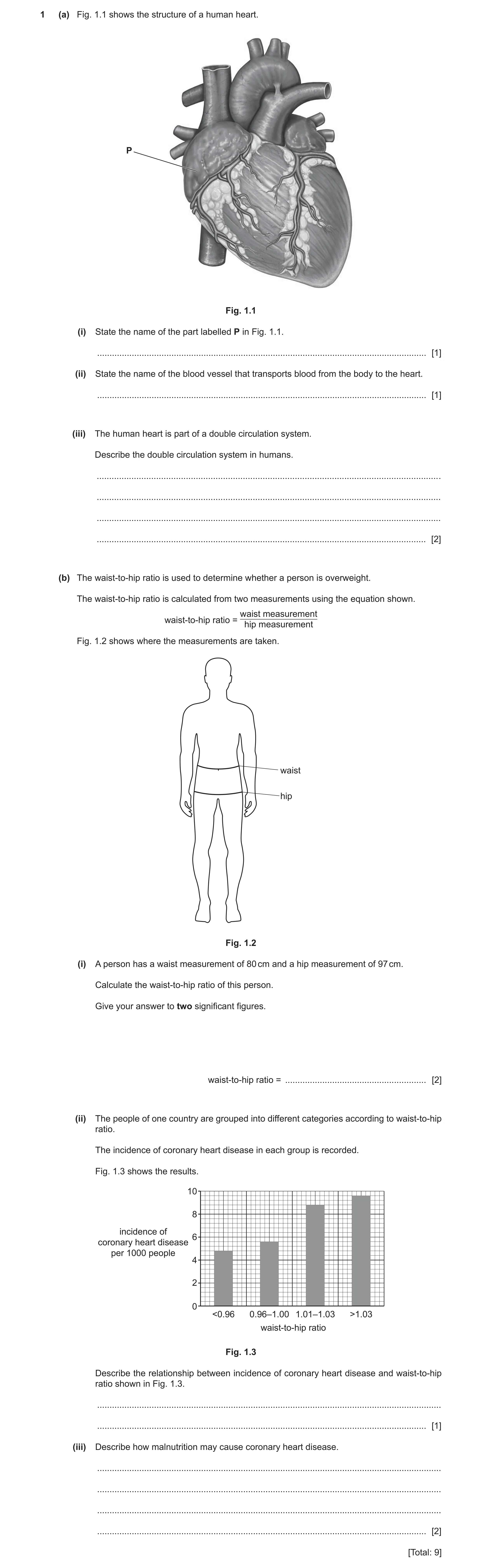 Question 11: (a) Fig. 1.1 shows the structure of a human heart. P Fig. 1.1 (i) State the name of the part labelled P in Fig. 1.1. ......................…