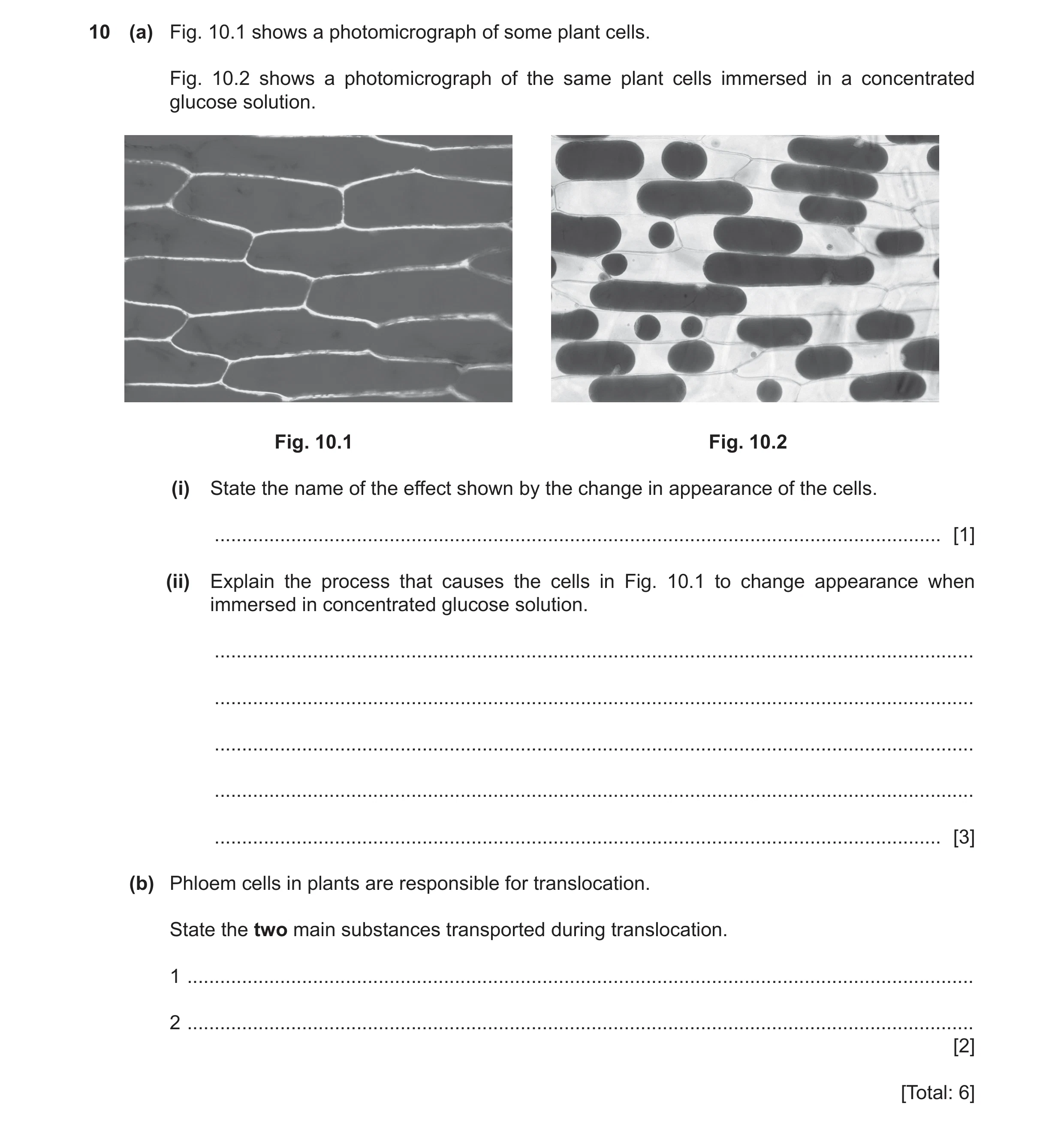 Question 7: (a) Fig. 10.1 shows a photomicrograph of some plant cells. Fig. 10.2 shows a photomicrograph of the same plant cells immersed in a concentr…