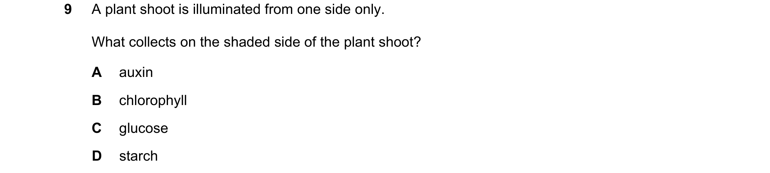 Question 14: A plant shoot is illuminated from one side only. What collects on the shaded side of the plant shoot? A auxin B chlorophyll C glucose D sta…