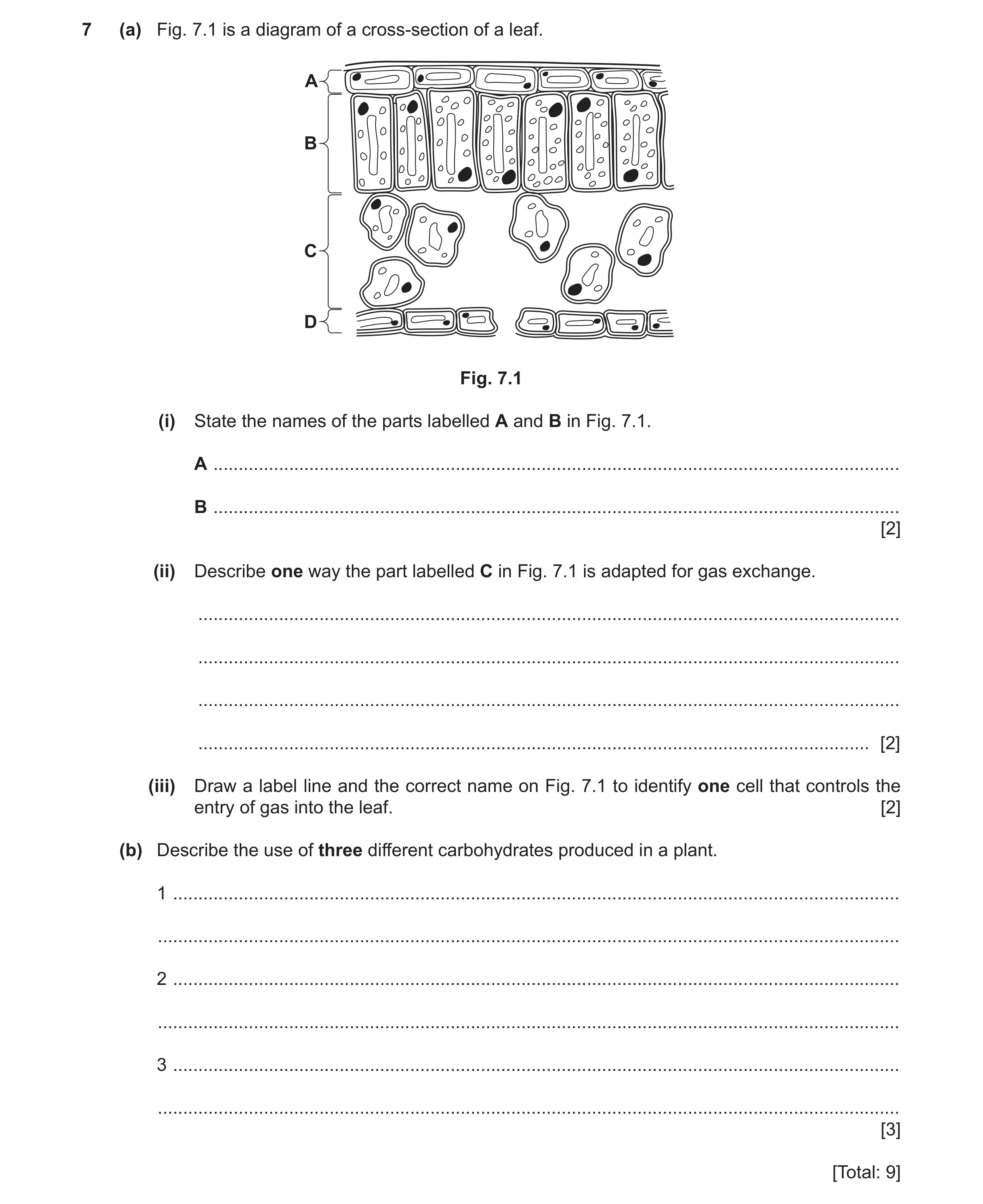 Question 6: (a) Fig. 7.1 is a diagram of a cross-section of a leaf. A B C D Fig. 7.1 (i) State the names of the parts labelled A and B in Fig. 7.1. A .…