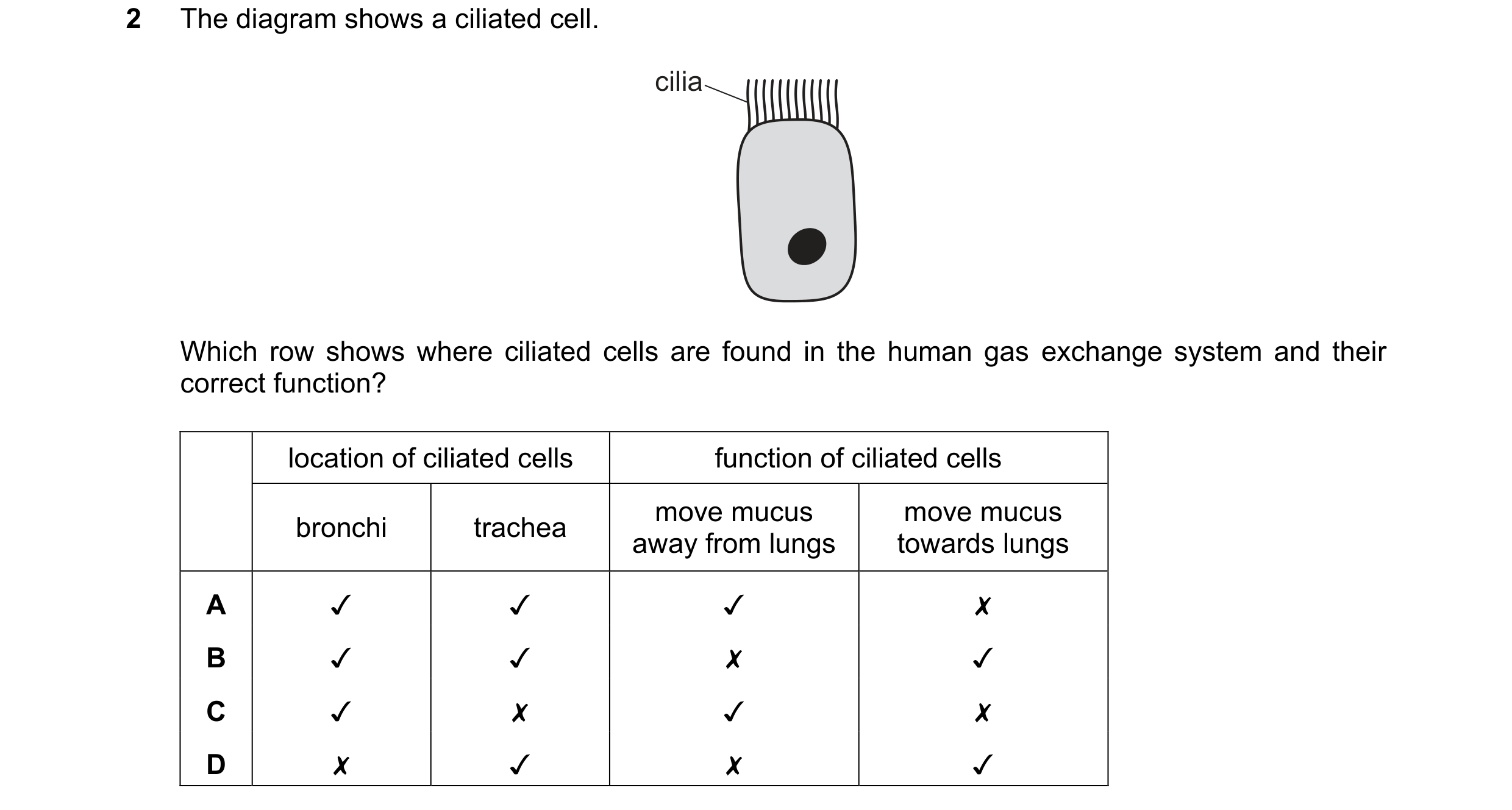 Question 44: The diagram shows a ciliated cell.

cilia

Which row shows where ciliated cells are found in the human gas exchange system and their
correc…