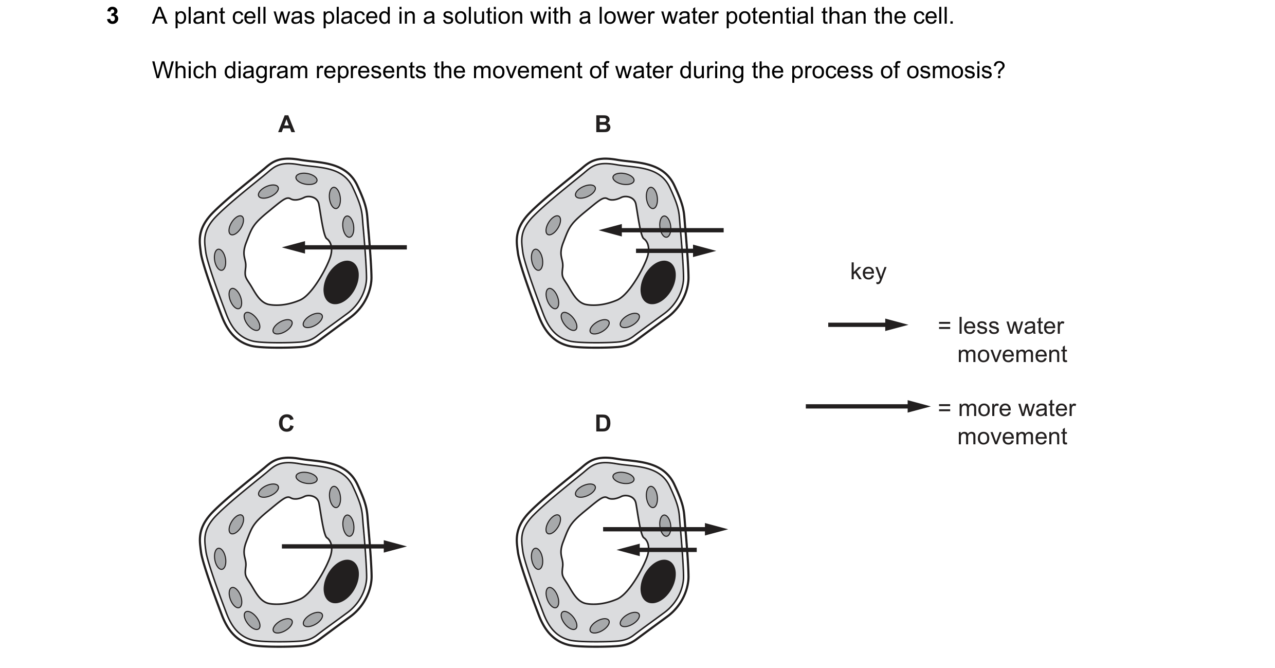 Question 14: A plant cell was placed in a solution with a lower water potential than the cell. Which diagram represents the movement of water during the…