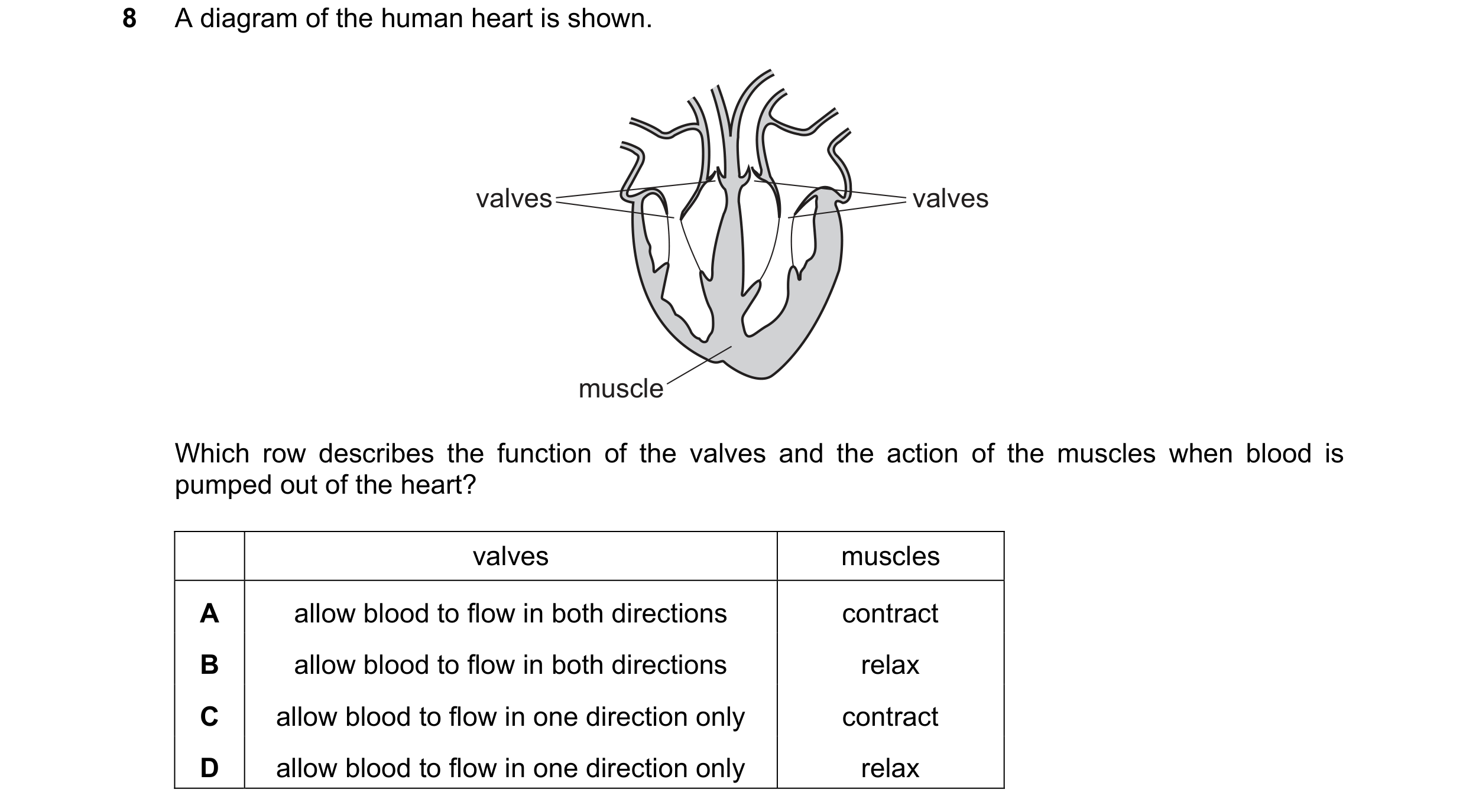 Question 23: A diagram of the human heart is shown. valves valves muscle Which row describes the function of the valves and the action of the muscles wh…
