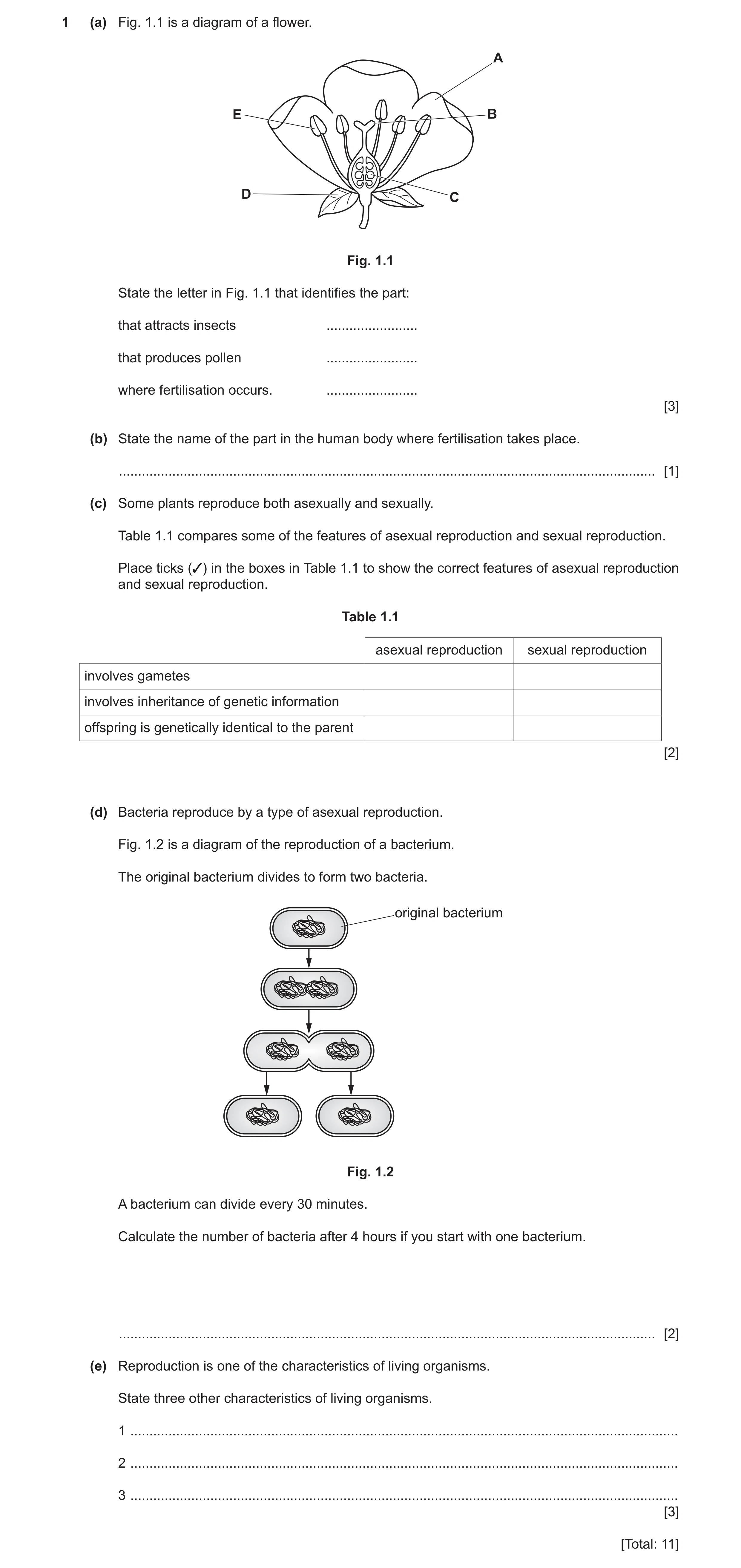 Question 14: (a) Fig. 1.1 is a diagram of a flower. A E B D C Fig. 1.1 State the letter in Fig. 1.1 that identifies the part: that attracts insects ....…