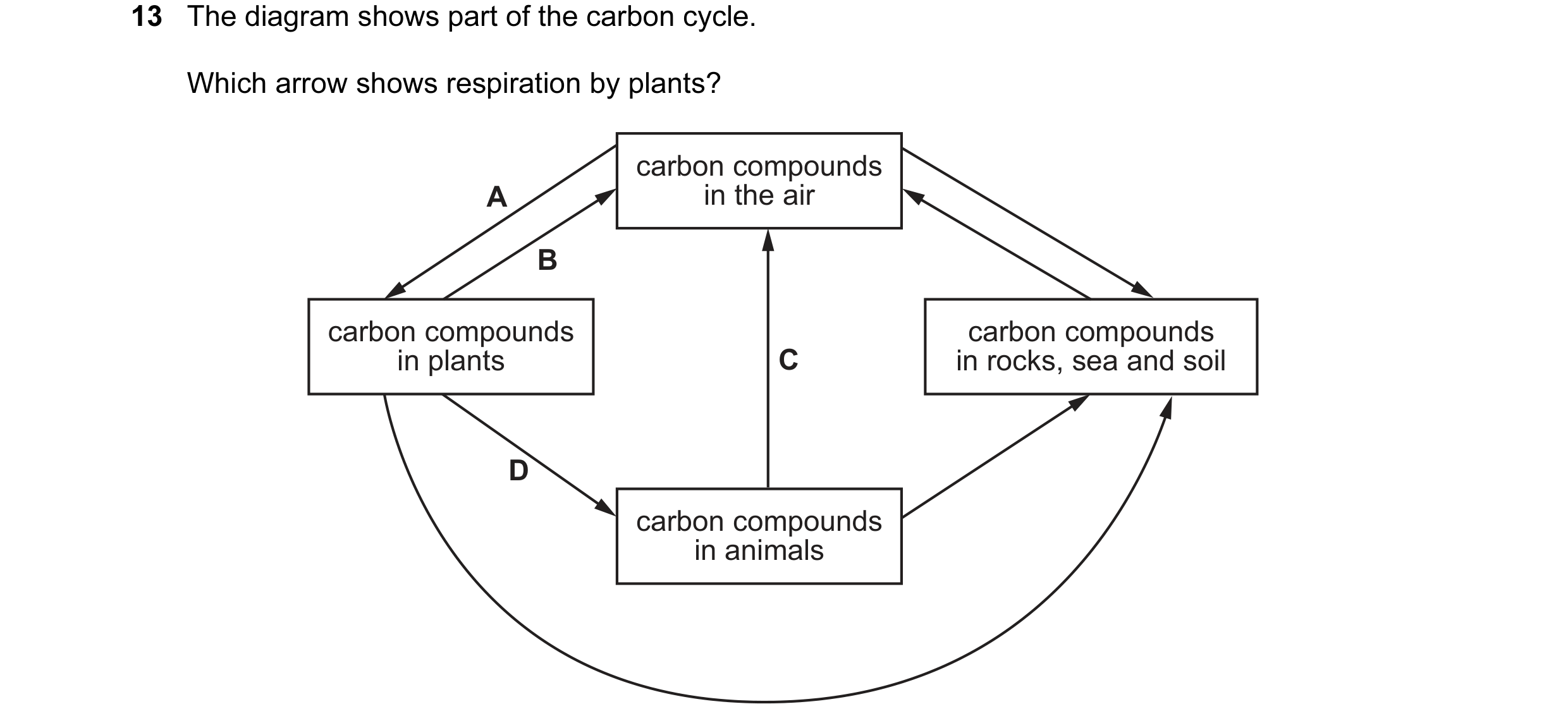 Question 25: The diagram shows part of the carbon cycle. Which arrow shows respiration by plants? carbon compounds A in the air B carbon compounds carbo…