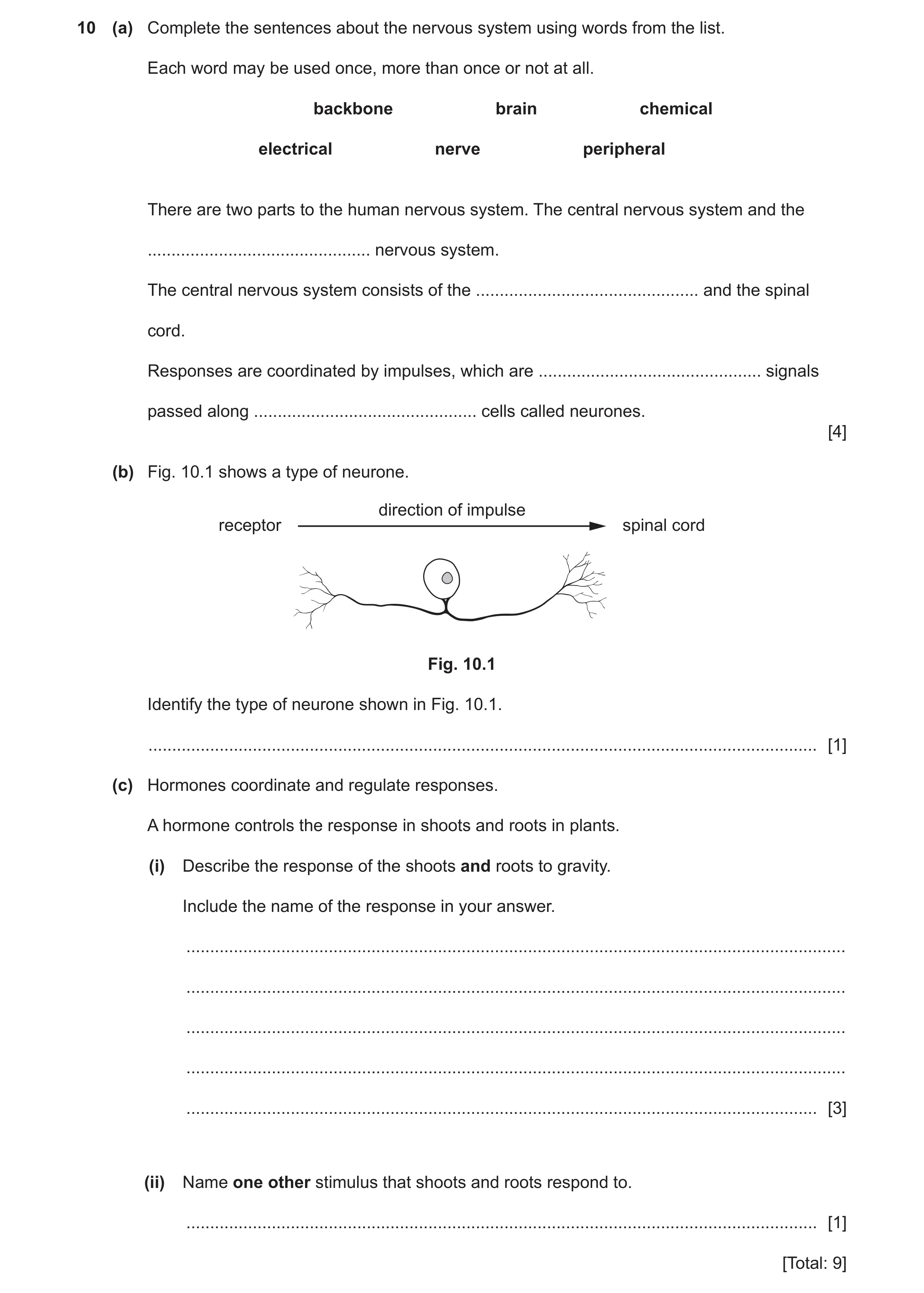 Question 8: (a) Complete the sentences about the nervous system using words from the list. Each word may be used once, more than once or not at all. ba…