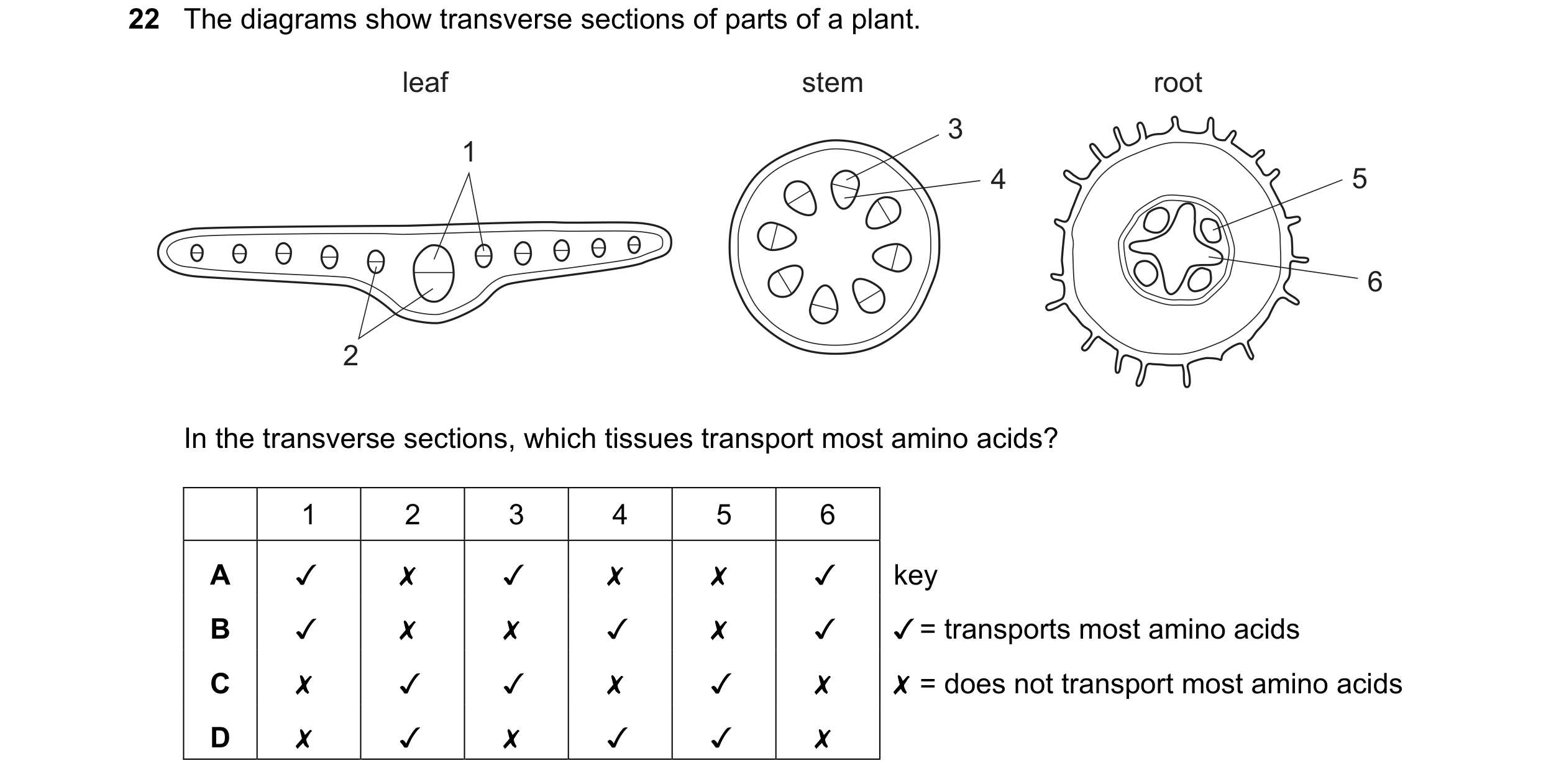 Question 48: The diagrams show transverse sections of parts of a plant.

leaf stem root

Suen - ,
Oe bet 6

In the transverse sections, which tissues tr…