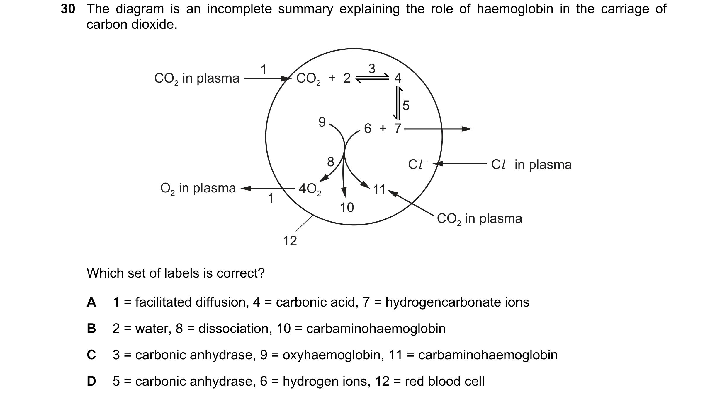 Question 91: The diagram is an incomplete summary explaining the role of haemoglobin in the carriage of carbon dioxide. 1 3 CO2 in plasma CO2 + 2 4 5 …