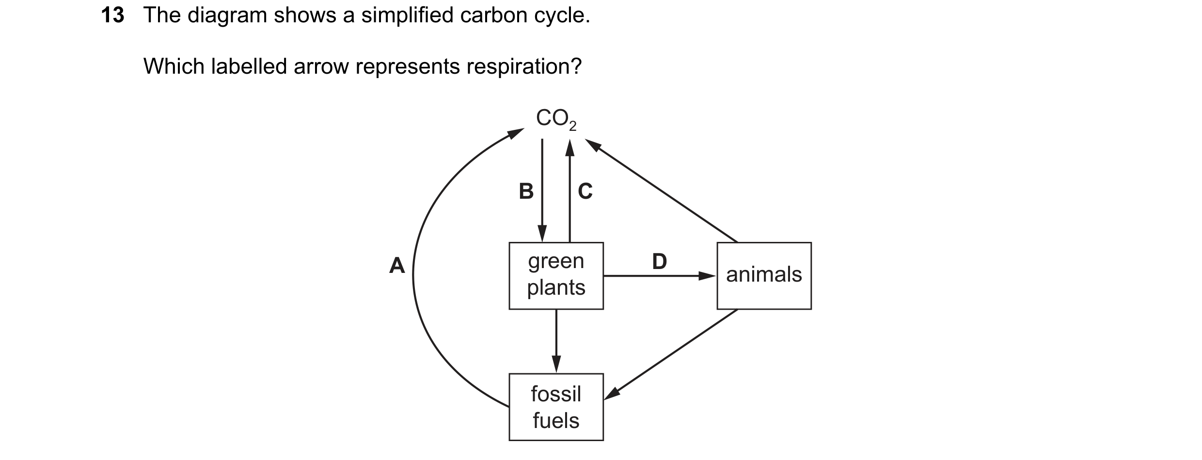 Question 39: The diagram shows a simplified carbon cycle. Which labelled arrow represents respiration? CO2 B C A green D animals plants fossil fuels