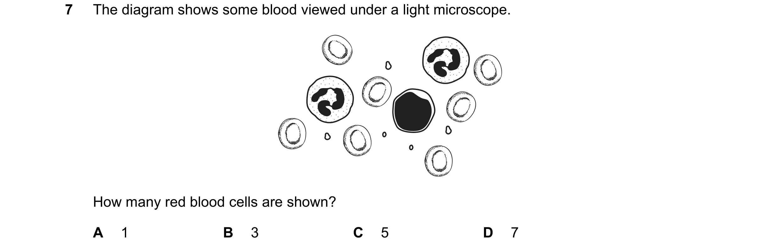 Question 11: The diagram shows some blood viewed under a light microscope. How many red blood cells are shown? A 1 B 3 C 5 D 7