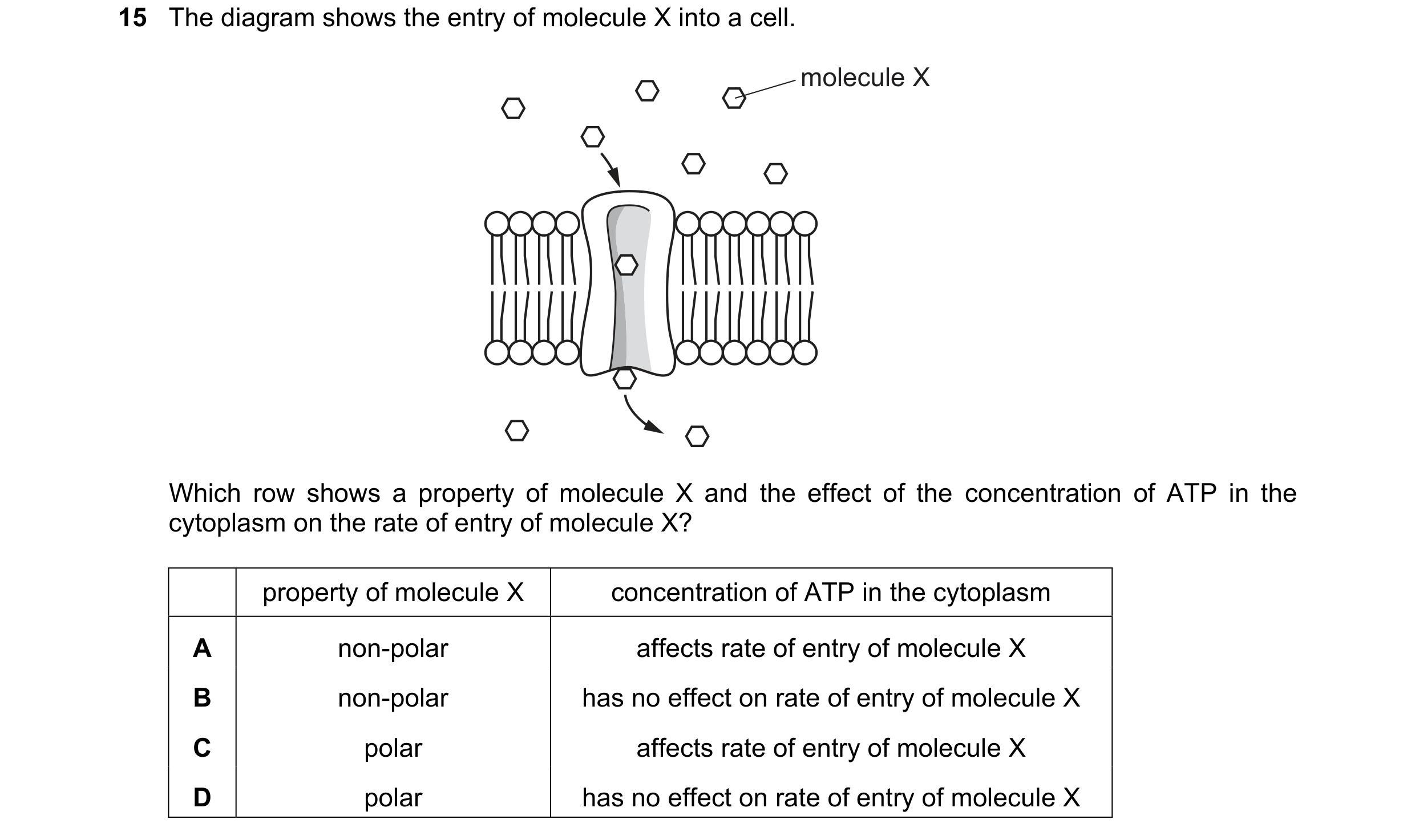 Question 230: The diagram shows the entry of molecule X into a cell. molecule X Which row shows a property of molecule X and the effect of the concentrat…