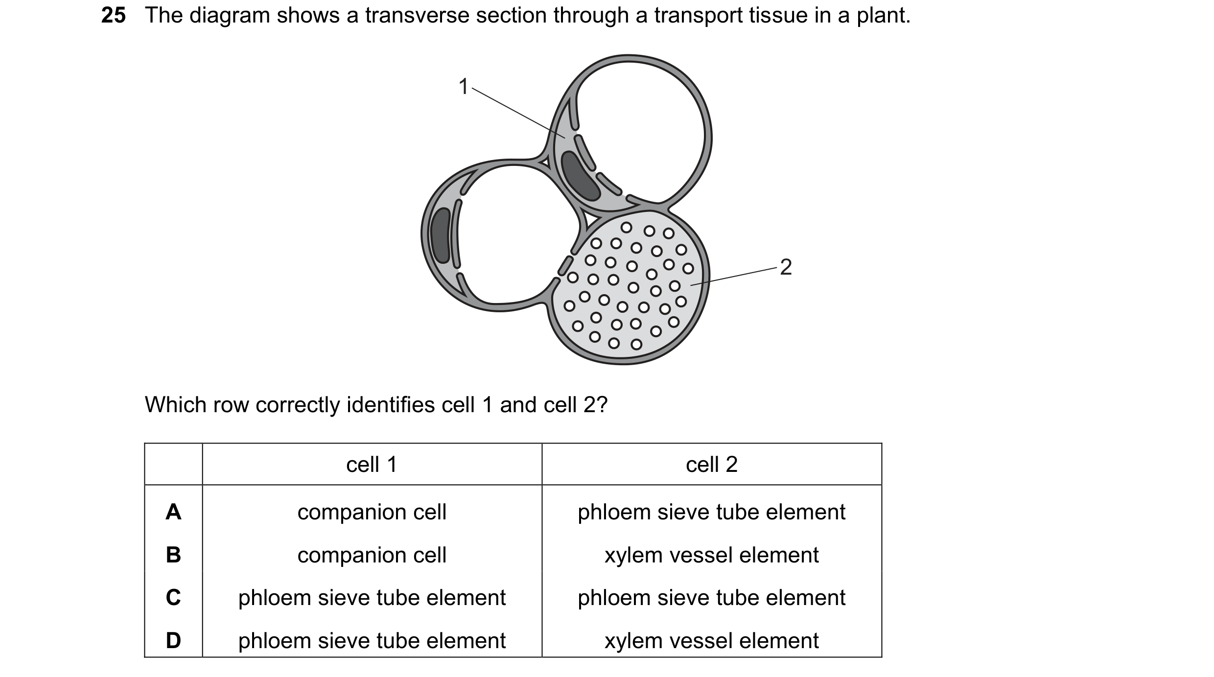 Question 106: The diagram shows a transverse section through a transport tissue in a plant. 1 2 Which row correctly identifies cell 1 and cell 2? cell 1 …