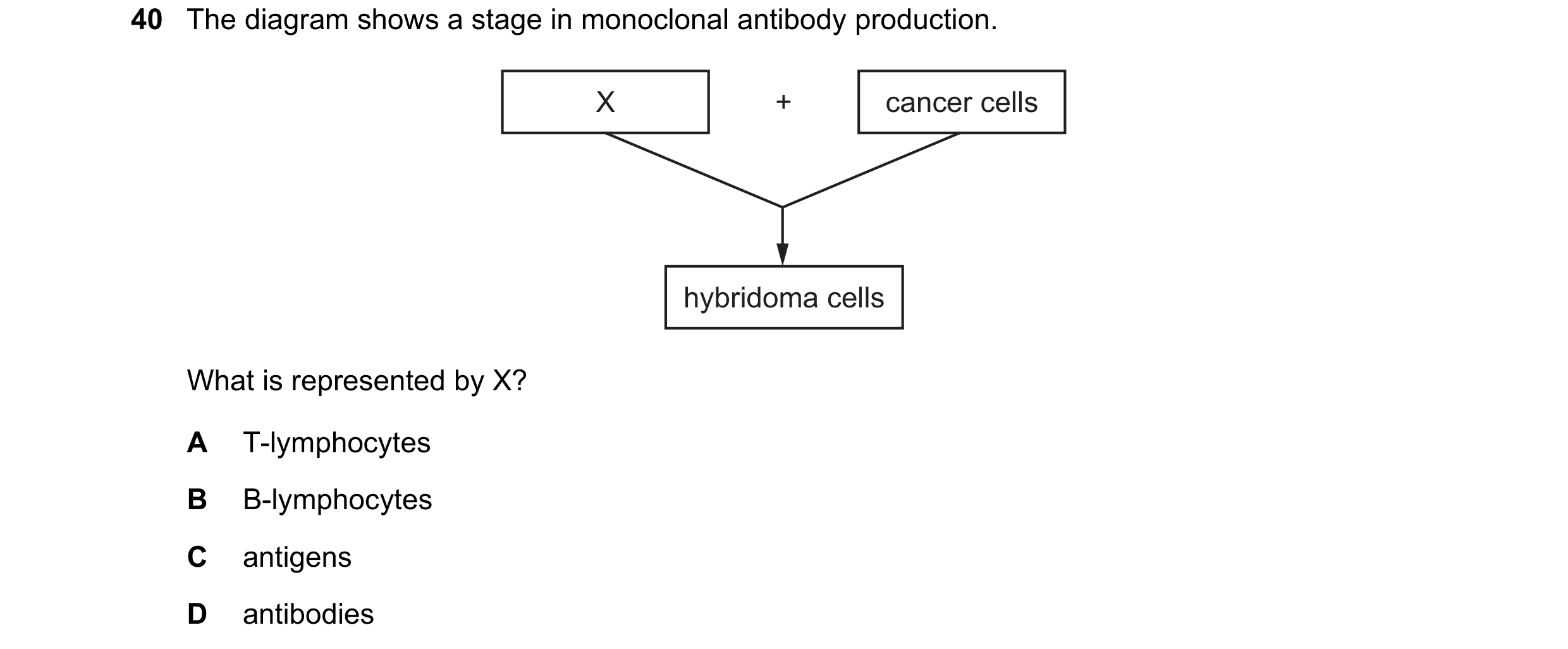 Question 143: The diagram shows a stage in monoclonal antibody production. X + cancer cells hybridoma cells What is represented by X? A T-lymphocytes B B…