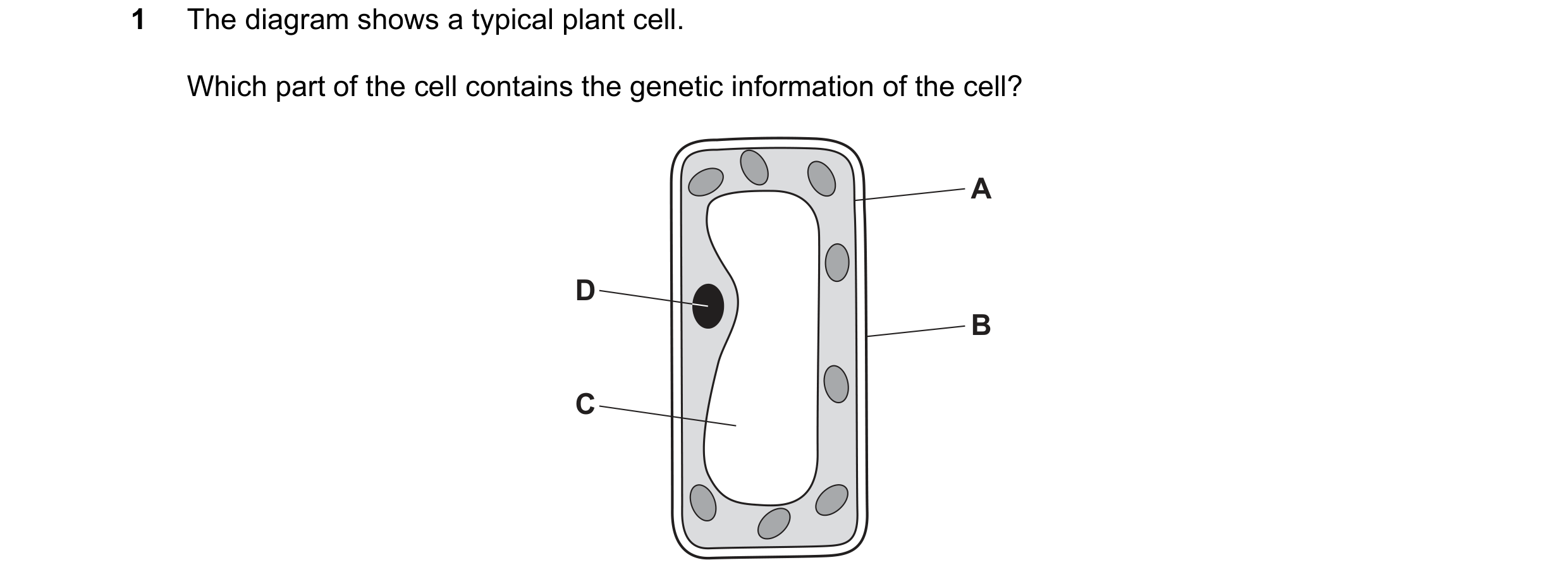 Question 14: The diagram shows a typical plant cell. Which part of the cell contains the genetic information of the cell? A D B C