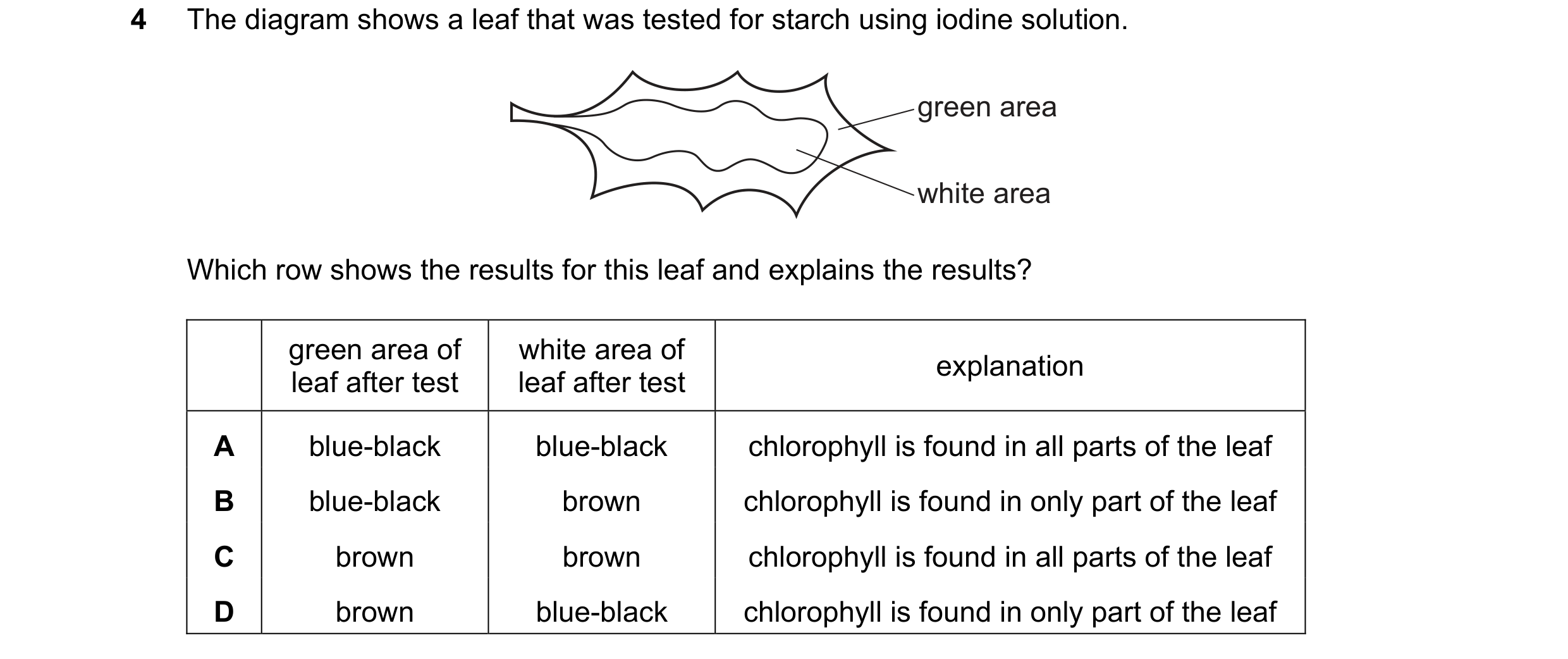 Question 18: The diagram shows a leaf that was tested for starch using iodine solution. green area white area Which row shows the results for this leaf …