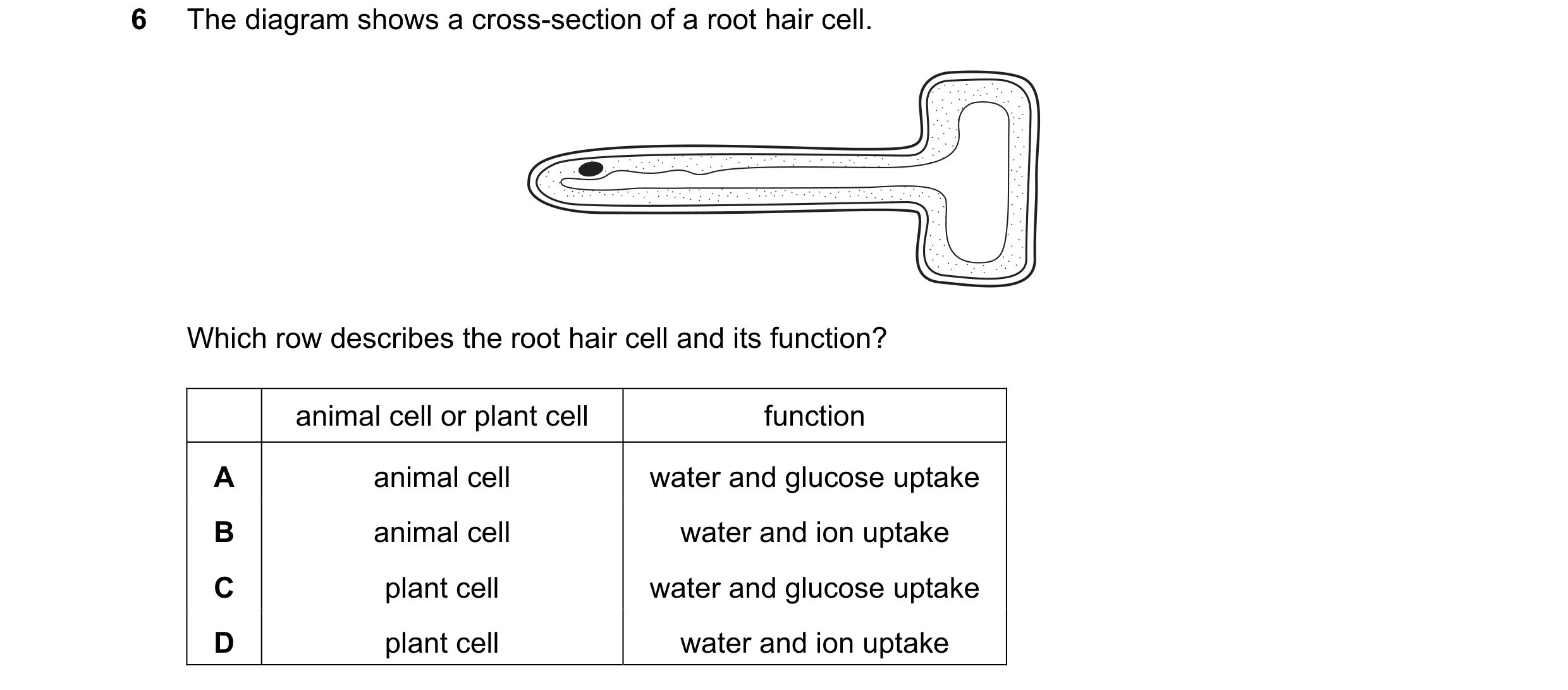 Question 15: The diagram shows a cross-section of a root hair cell. Which row describes the root hair cell and its function? animal cell or plant cell f…