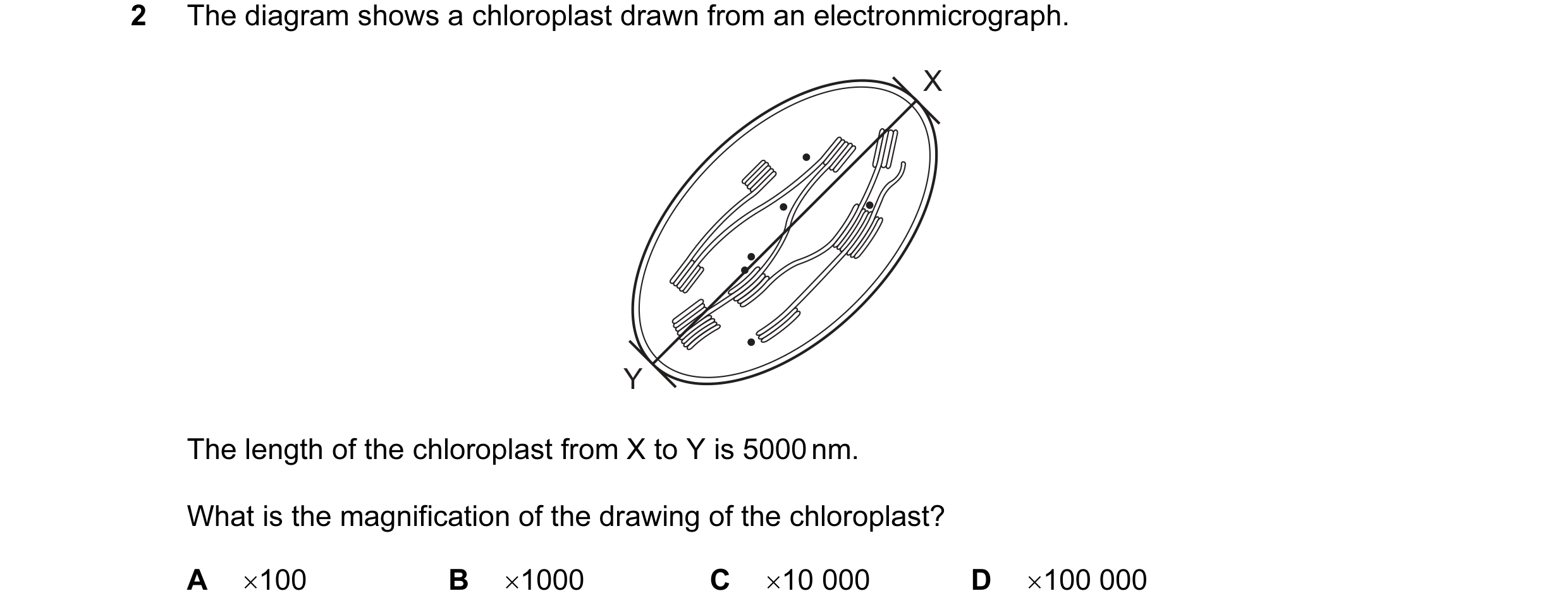 Question 67: The diagram shows a chloroplast drawn from an electronmicrograph. X Y The length of the chloroplast from X to Y is 5000 nm. What is the mag…