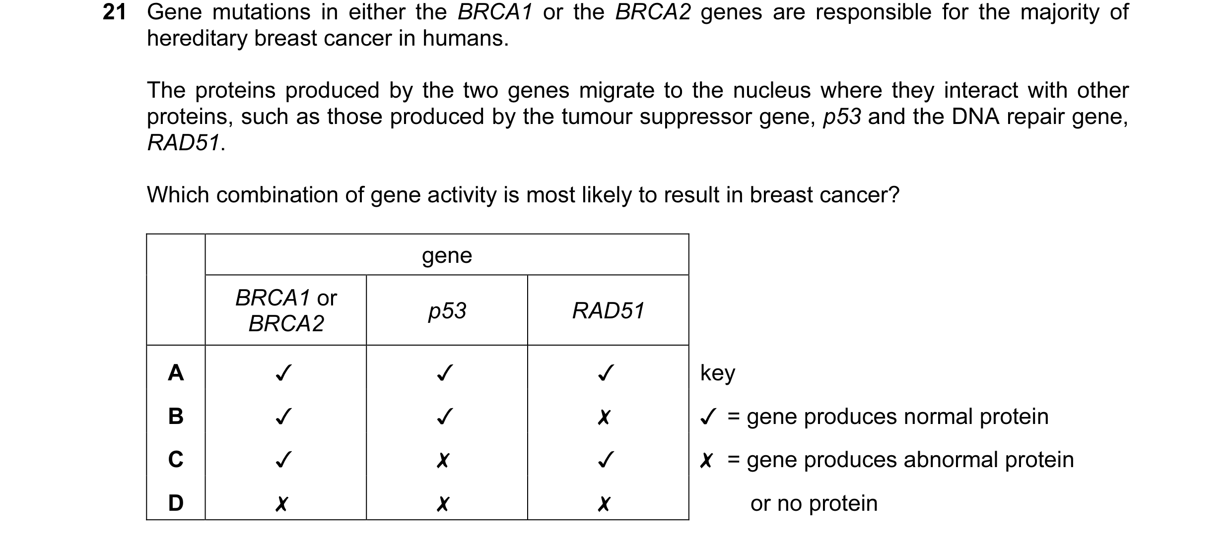 Question 6: Gene mutations in either the BRCA71 or the BRCA2 genes are responsible for the majority of
hereditary breast cancer in humans.
The protei…