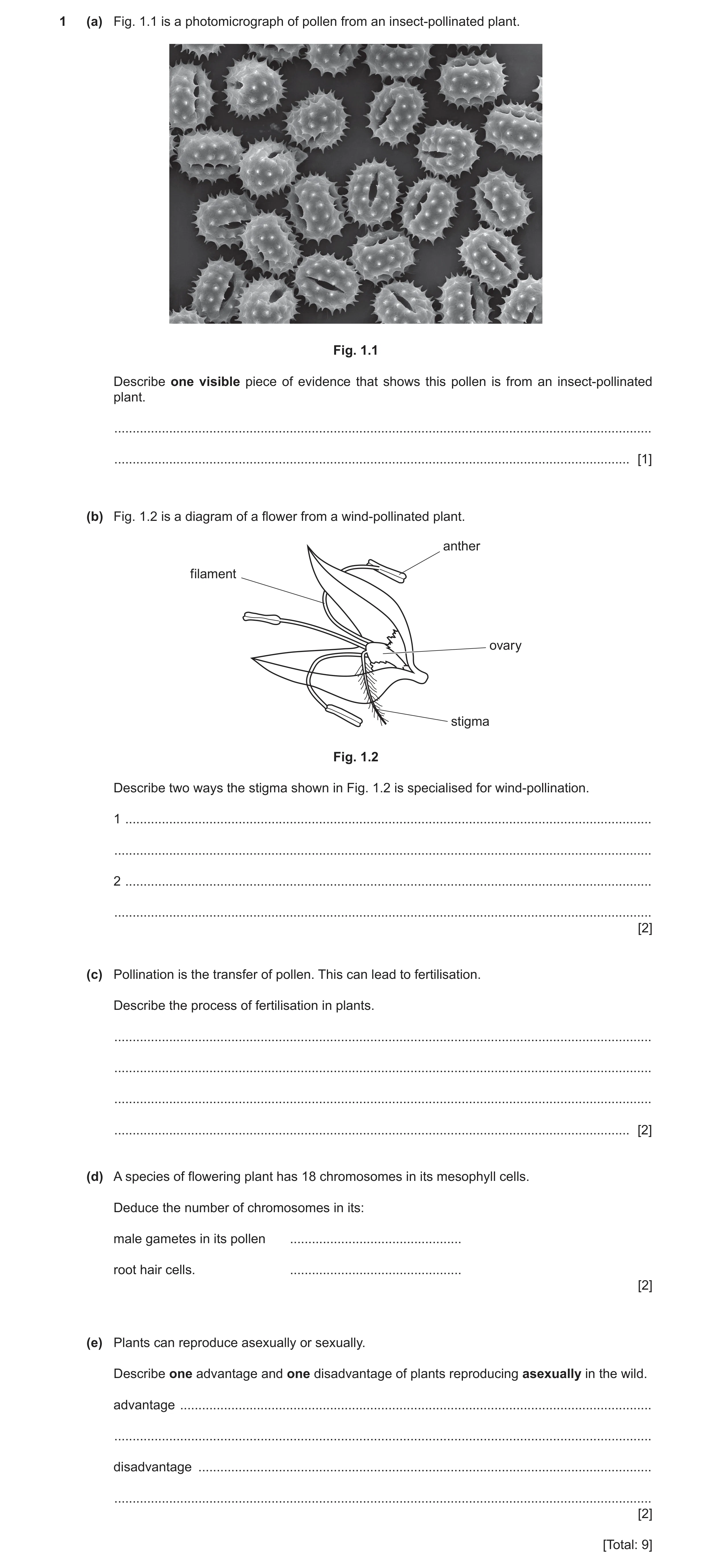 Question 4: (a) Fig. 1.1 is a photomicrograph of pollen from an insect-pollinated plant. Fig. 1.1 Describe one visible piece of evidence that shows thi…