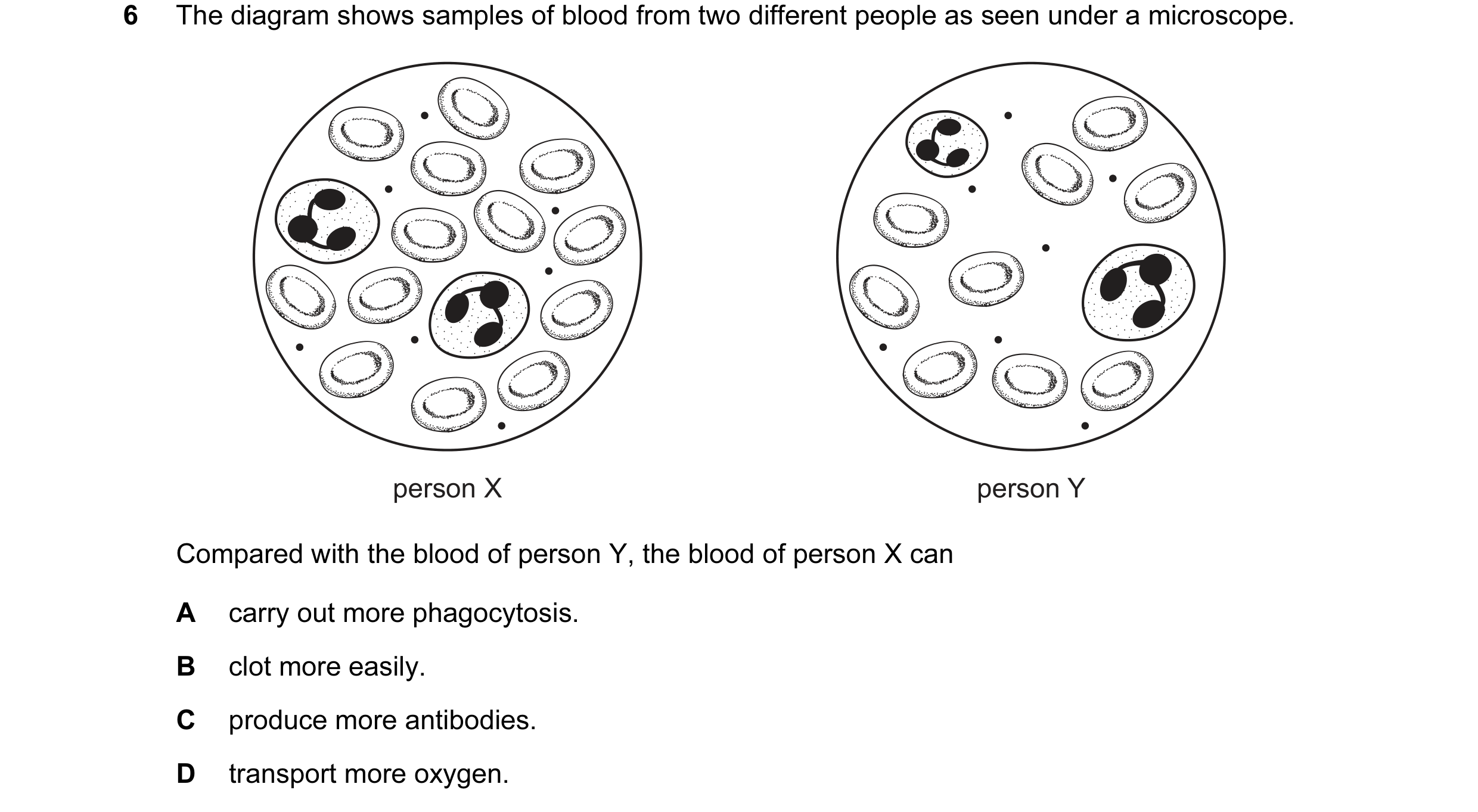 Question 8: The diagram shows samples of blood from two different people as seen under a microscope. person X person Y Compared with the blood of perso…