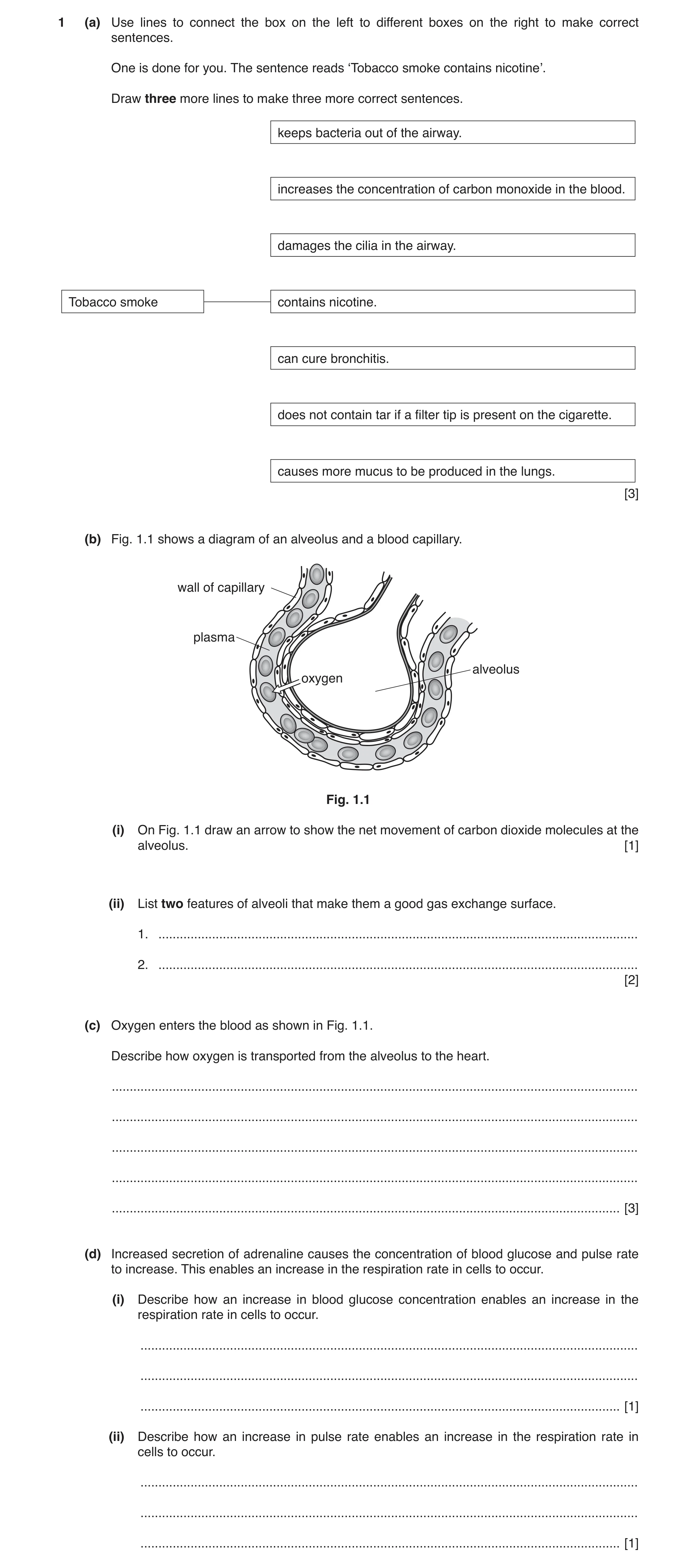 Question 2: (a) Use lines to connect the box on the left to different boxes on the right to make correct sentences. One is done for you. The sentence r…