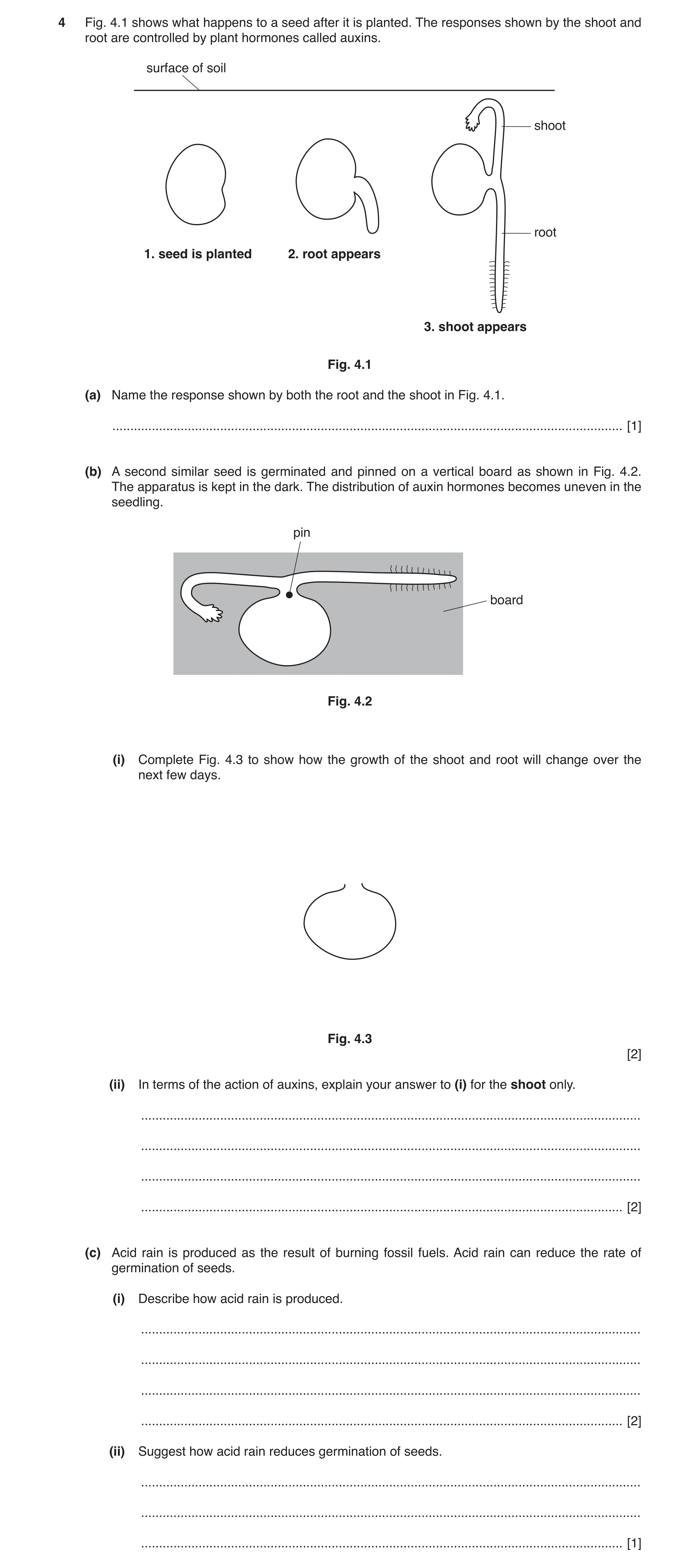 Question 4: Fig. 4.1 shows what happens to a seed after it is planted. The responses shown by the shoot and root are controlled by plant hormones calle…