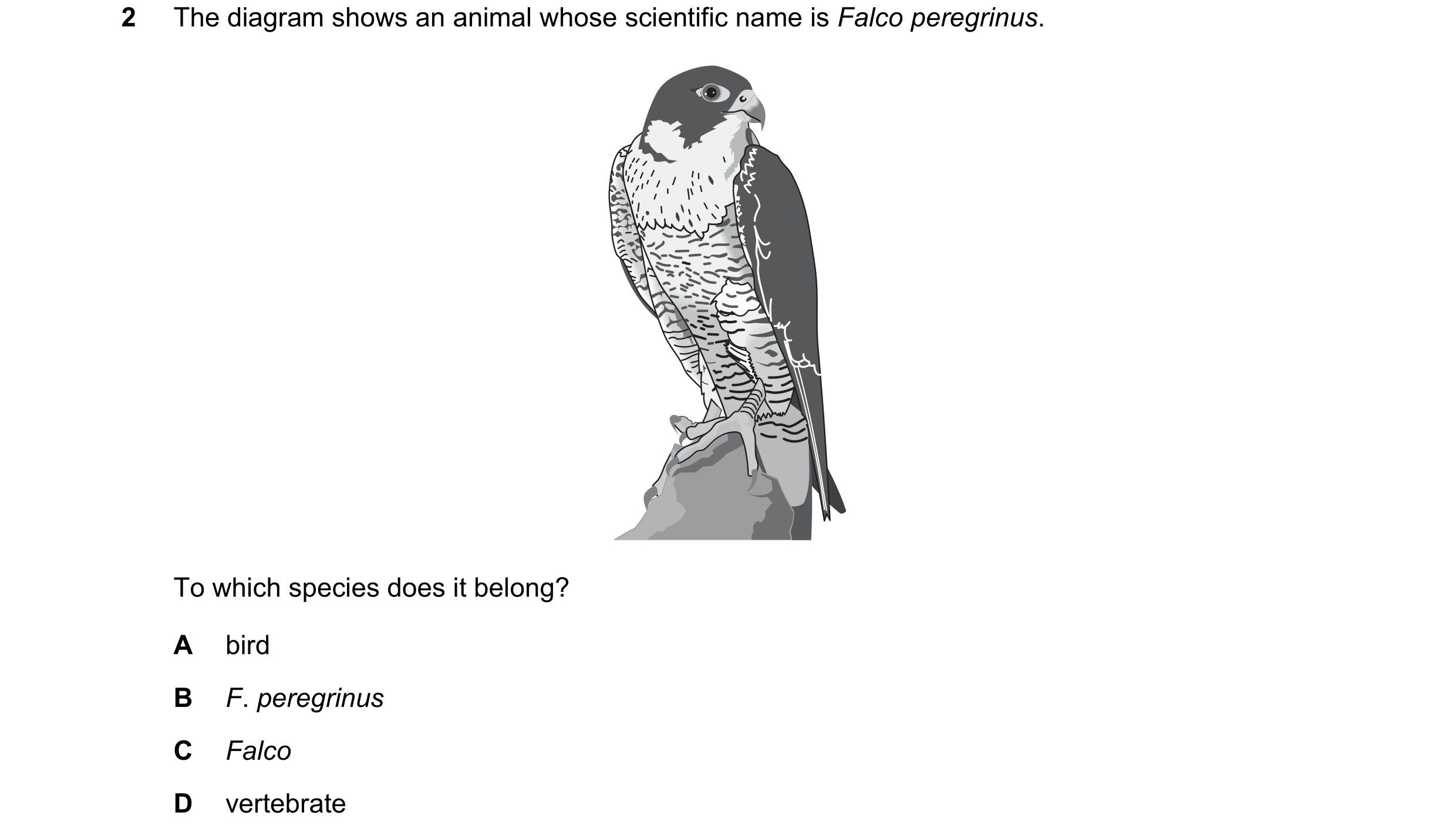 Question 1: The diagram shows an animal whose scientific name is Falco peregrinus. To which species does it belong? A bird B F. peregrinus C Falco D ve…