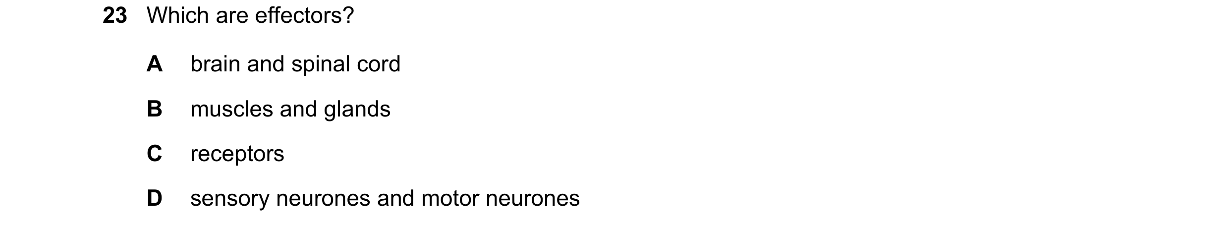 Question 1: Which are effectors? A brain and spinal cord B muscles and glands C receptors D sensory neurones and motor neurones