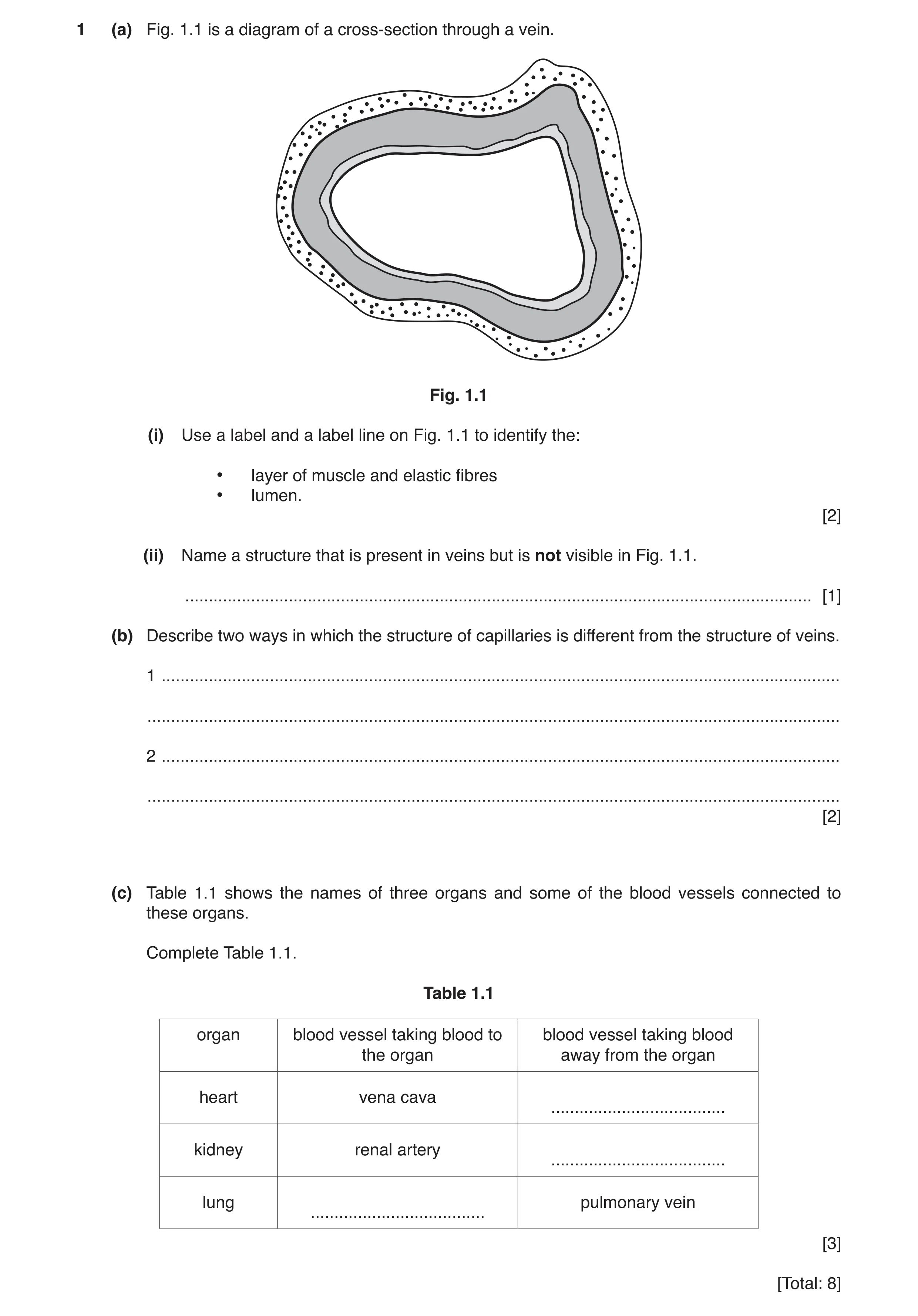 Question 3: (a) Fig. 1.1 is a diagram of a cross-section through a vein. Fig. 1.1 (i) Use a label and a label line on Fig. 1.1 to identify the: • layer…