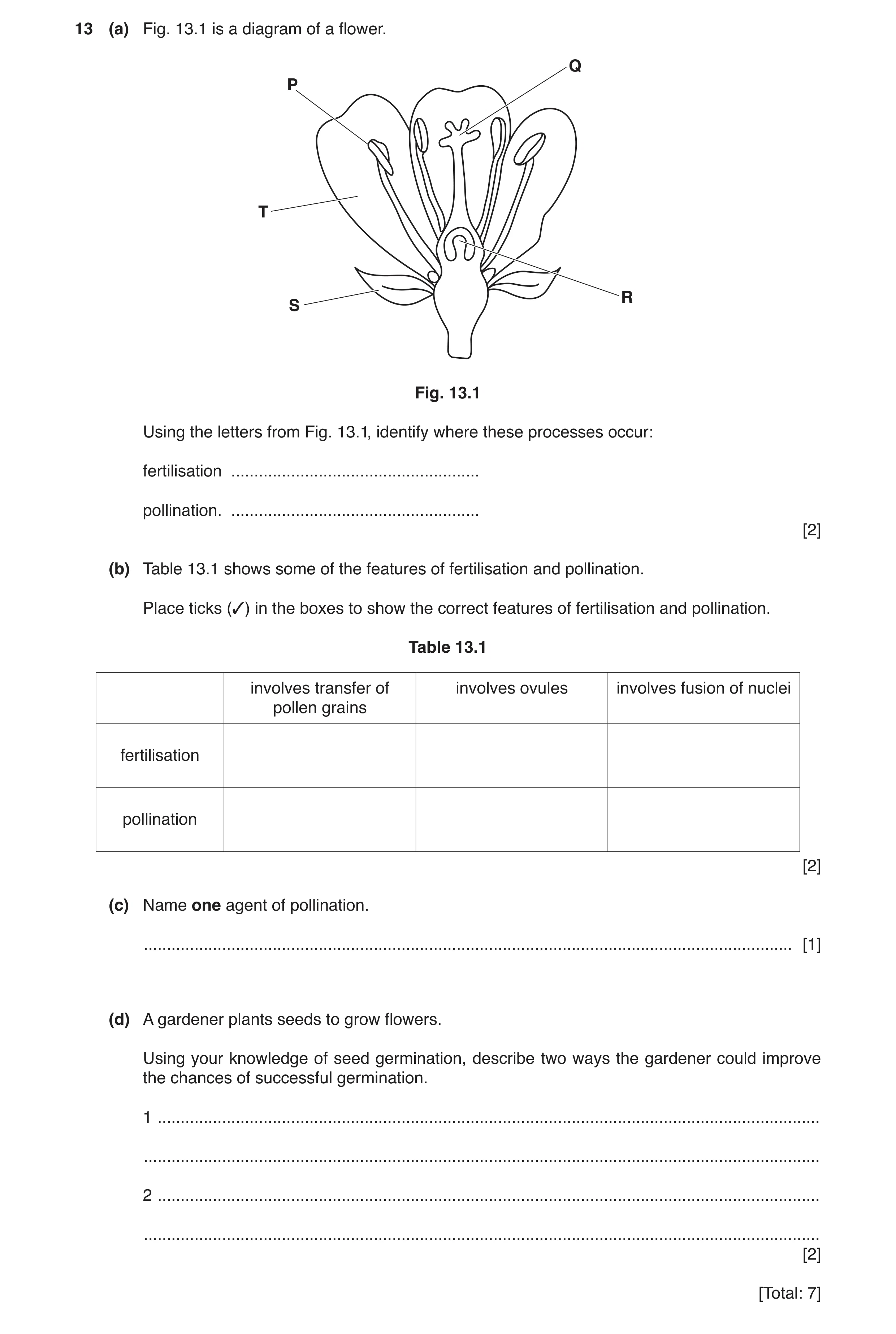 Question 4: (a) Fig. 13.1 is a diagram of a flower. Q P T R S Fig. 13.1 Using the letters from Fig. 13.1, identify where these processes occur: fertili…