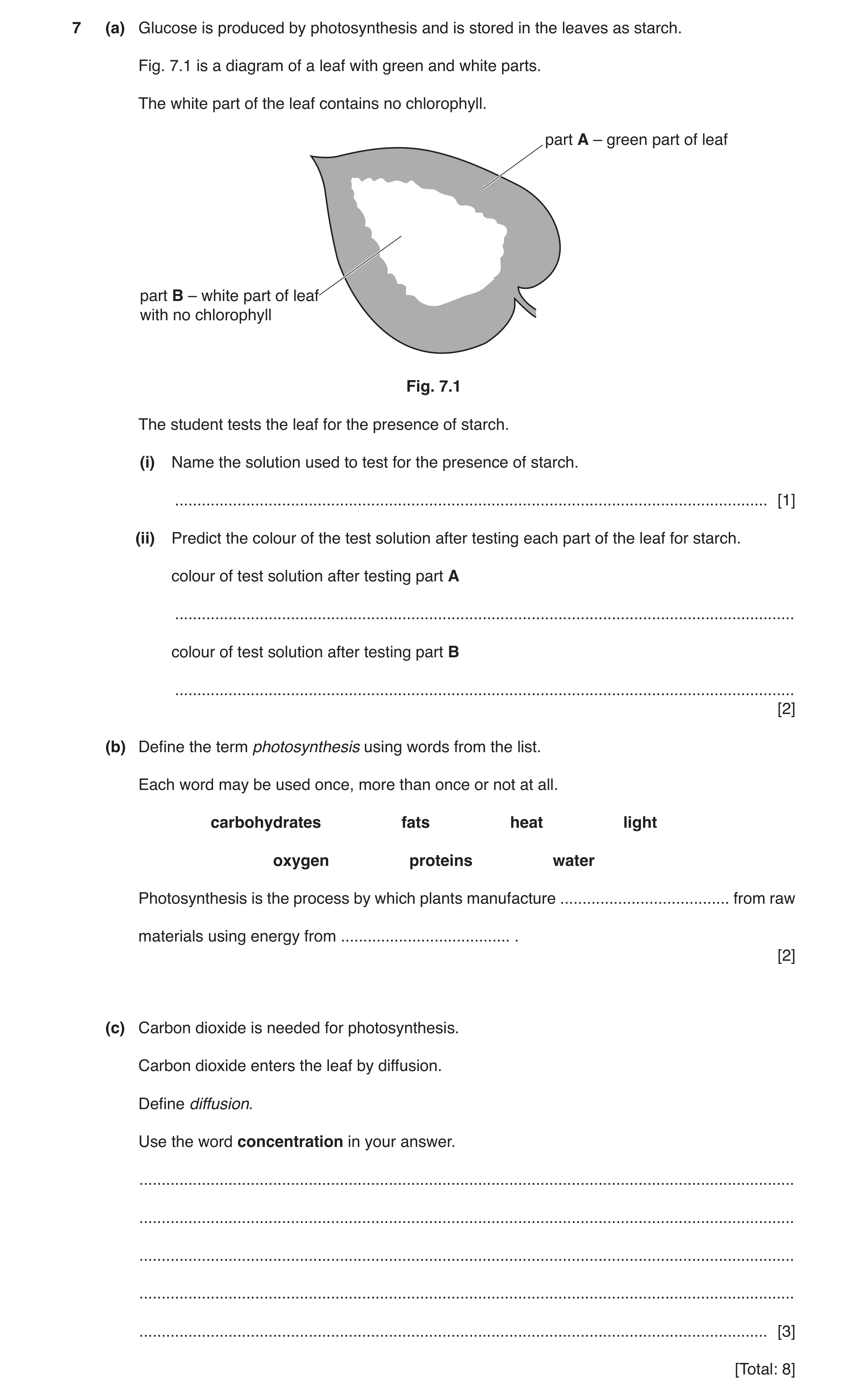 Question 7: (a) Glucose is produced by photosynthesis and is stored in the leaves as starch. Fig. 7.1 is a diagram of a leaf with green and white parts…