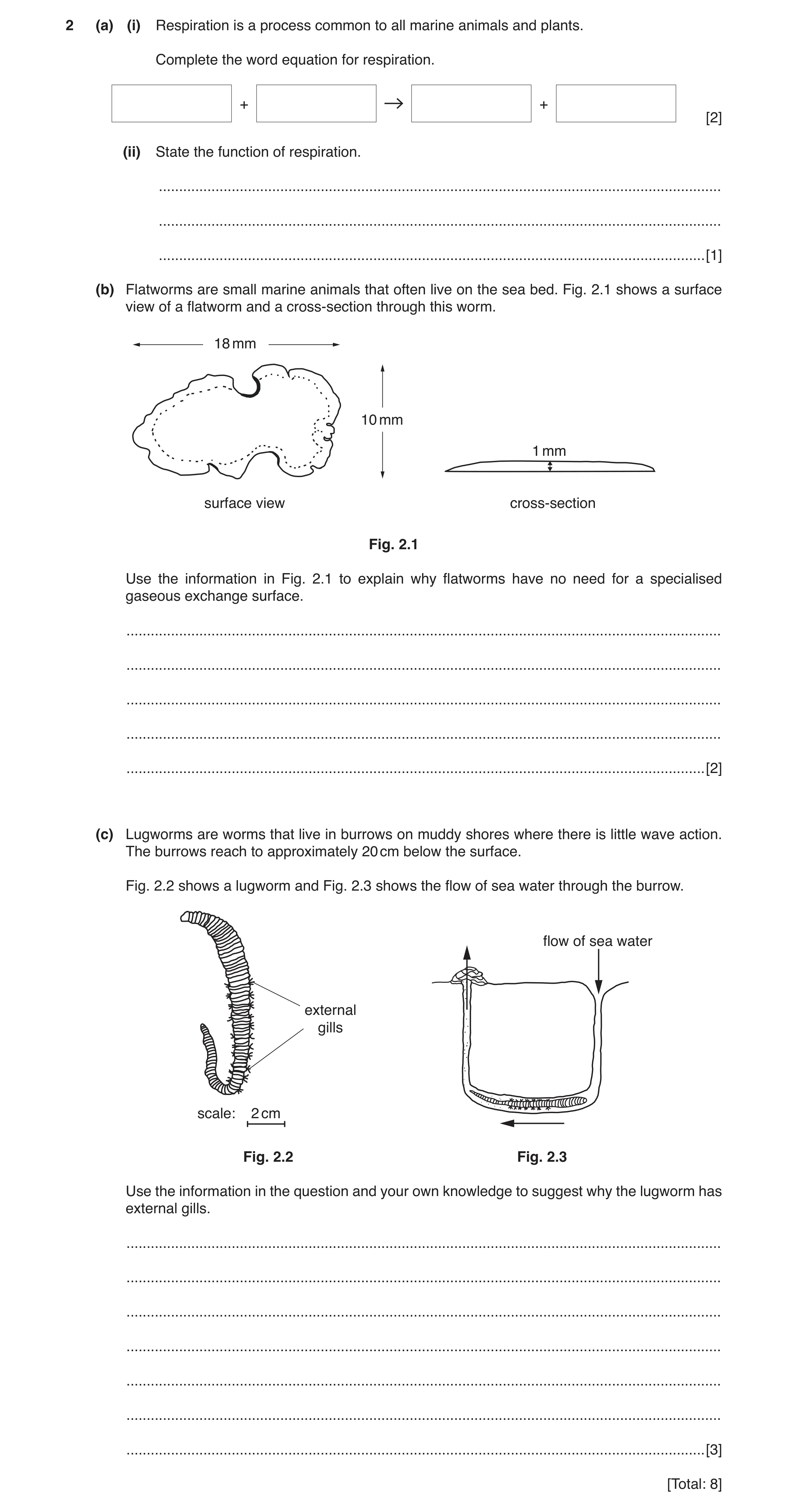 Question 2: (a) (i) Respiration is a process common to all marine animals and plants. Complete the word equation for respiration. + + [2] (ii) State th…